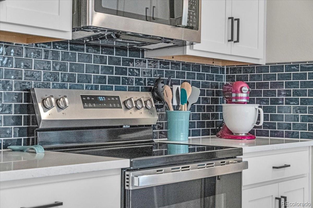 MLS Image #13 for 4418  soapberry place,castle rock, Colorado