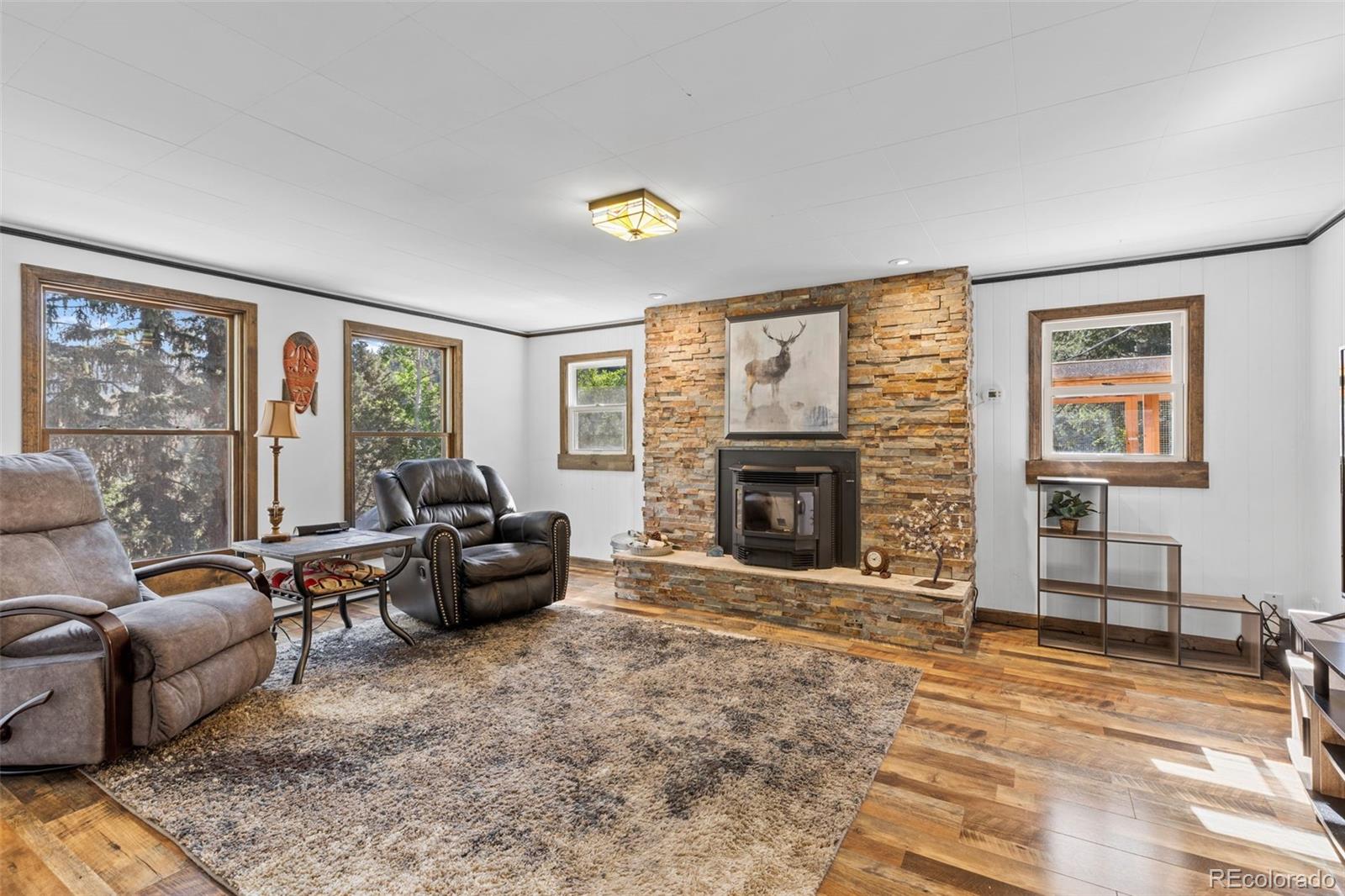 MLS Image #19 for 55  two moon road,idaho springs, Colorado