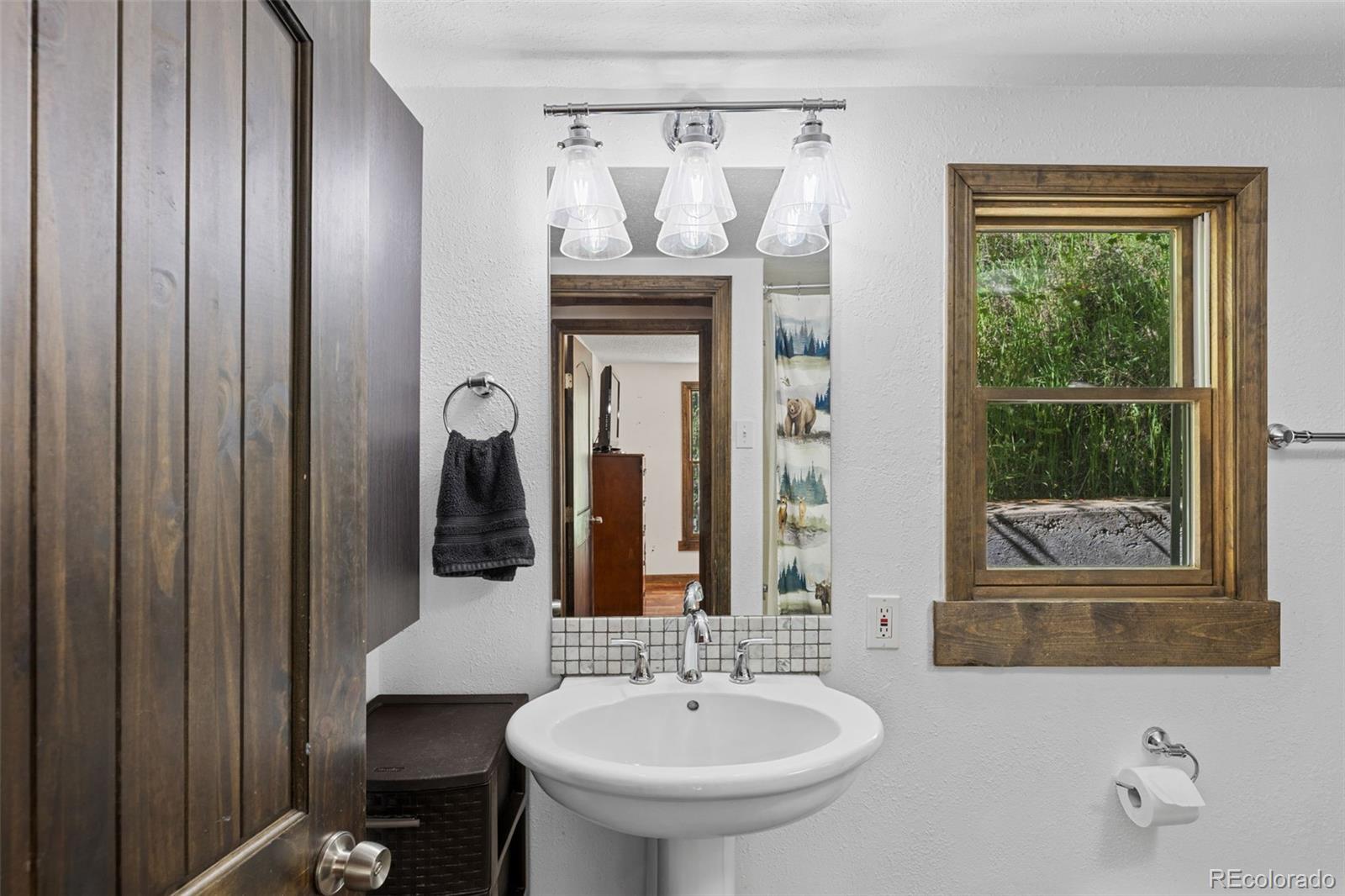 MLS Image #23 for 55  two moon road,idaho springs, Colorado