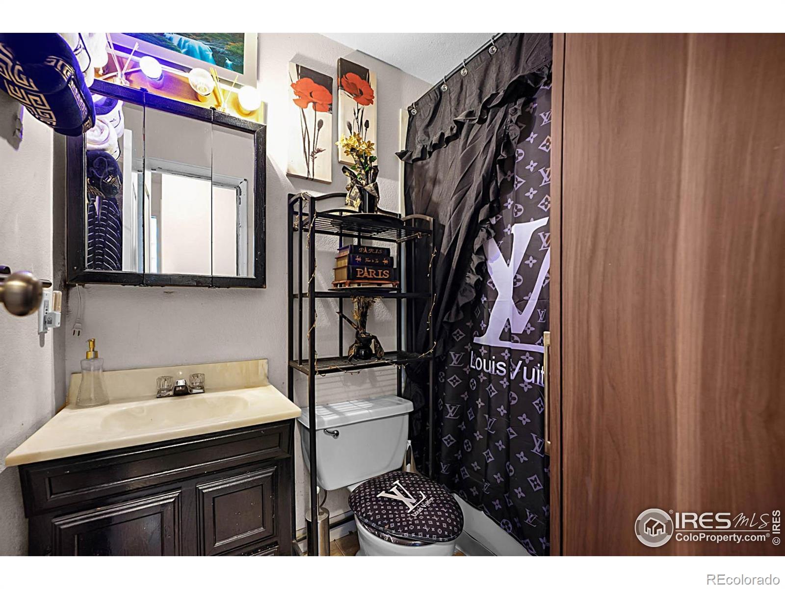 MLS Image #11 for 1687  ensenada way,aurora, Colorado
