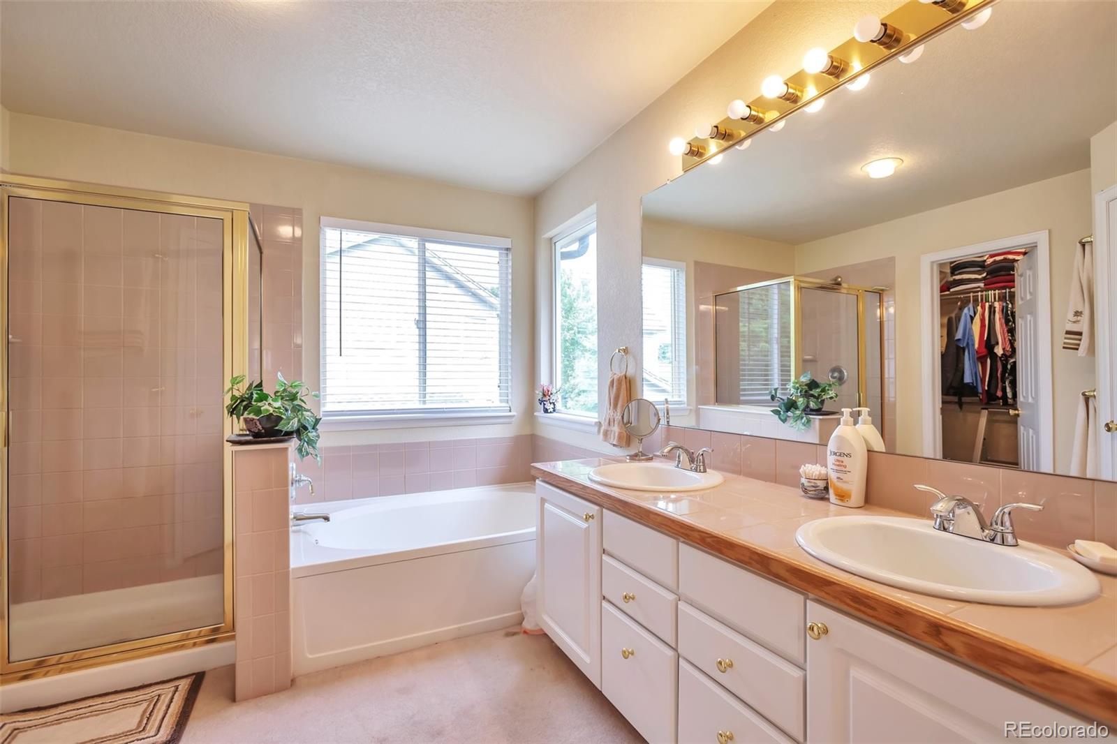 MLS Image #14 for 18852 e progress avenue,centennial, Colorado