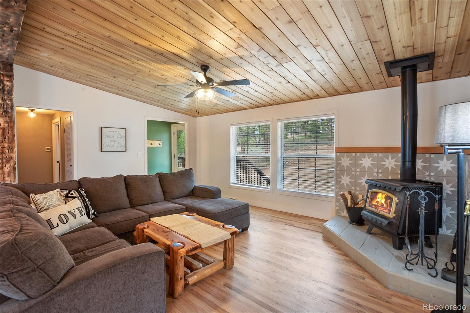 MLS Image #3 for 944  county road 512 ,divide, Colorado