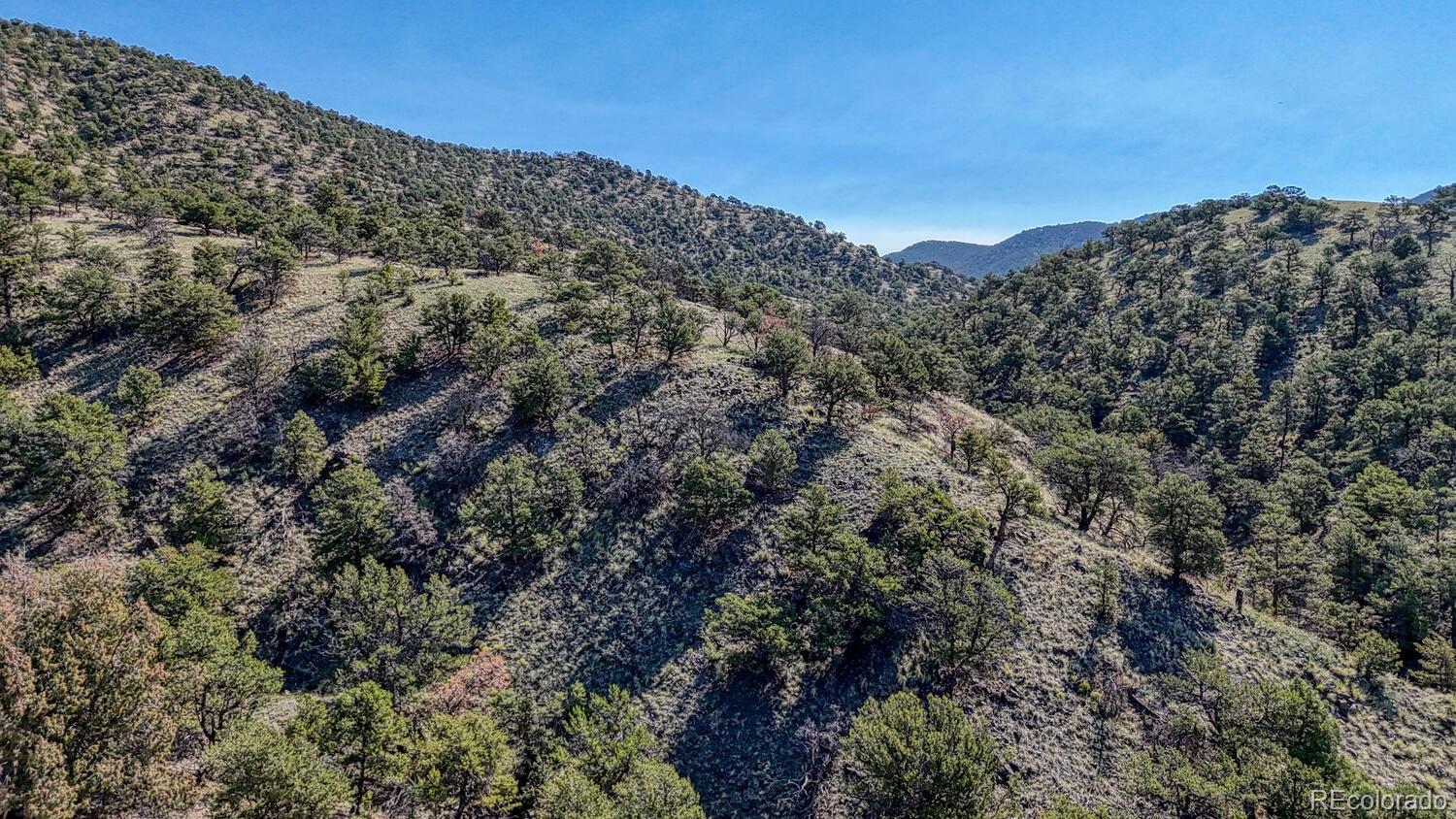 MLS Image #44 for 10405 w cherokee drive,salida, Colorado