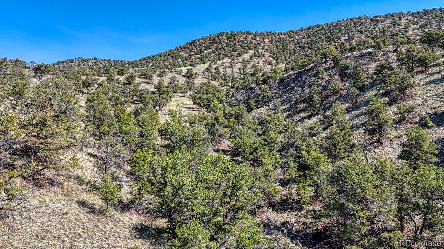 MLS Image #47 for 10405 w cherokee drive,salida, Colorado
