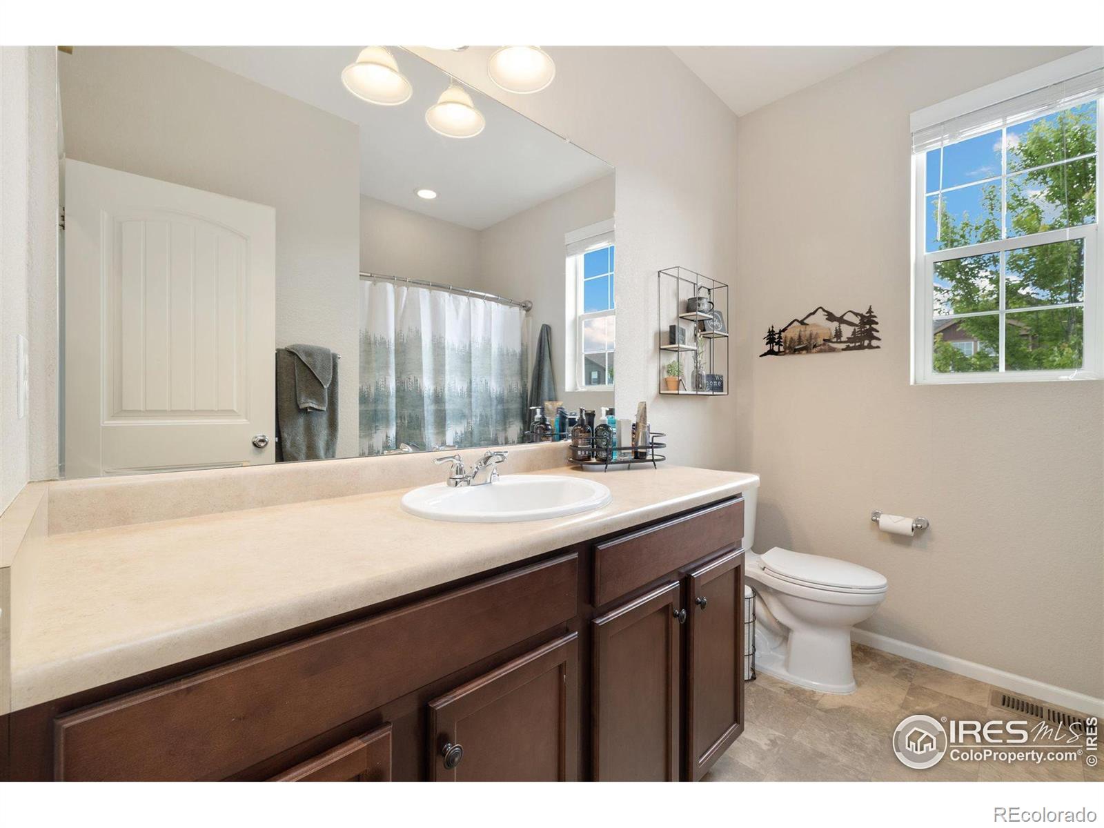 MLS Image #5 for 4822  wildflower place,dacono, Colorado