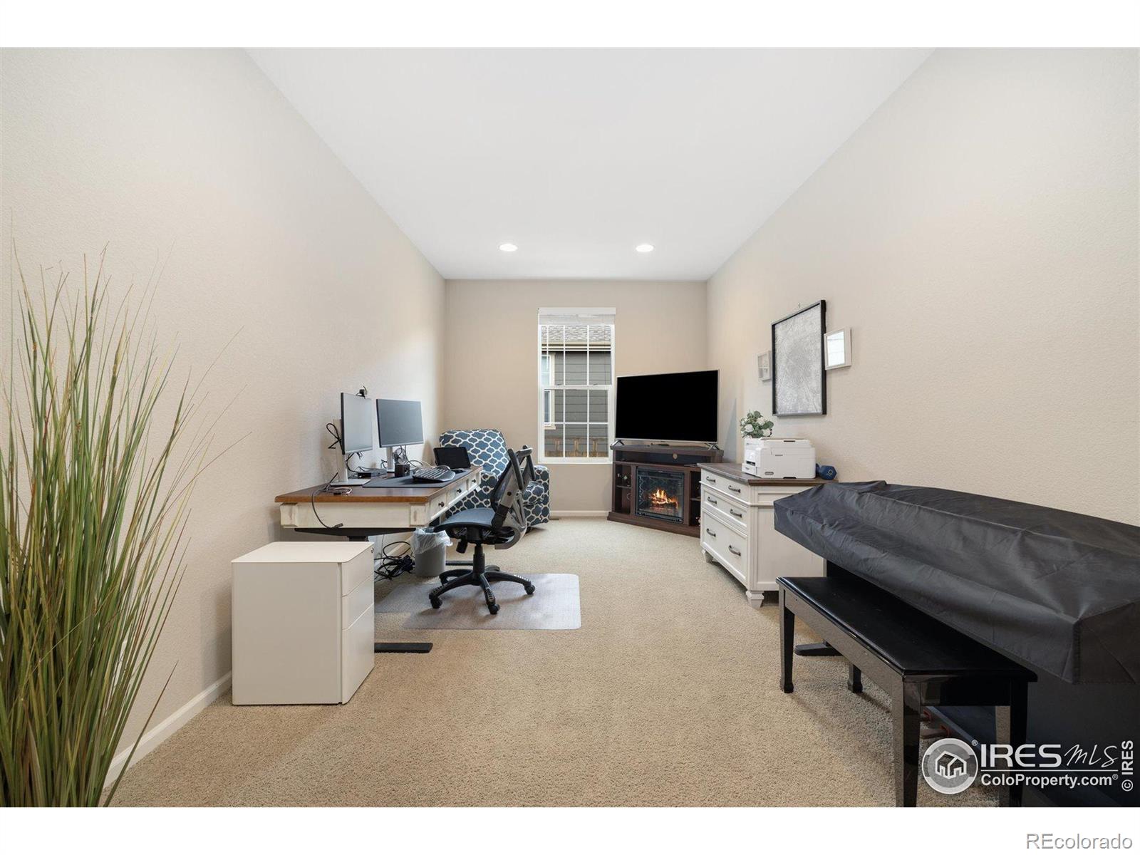 MLS Image #6 for 4822  wildflower place,dacono, Colorado