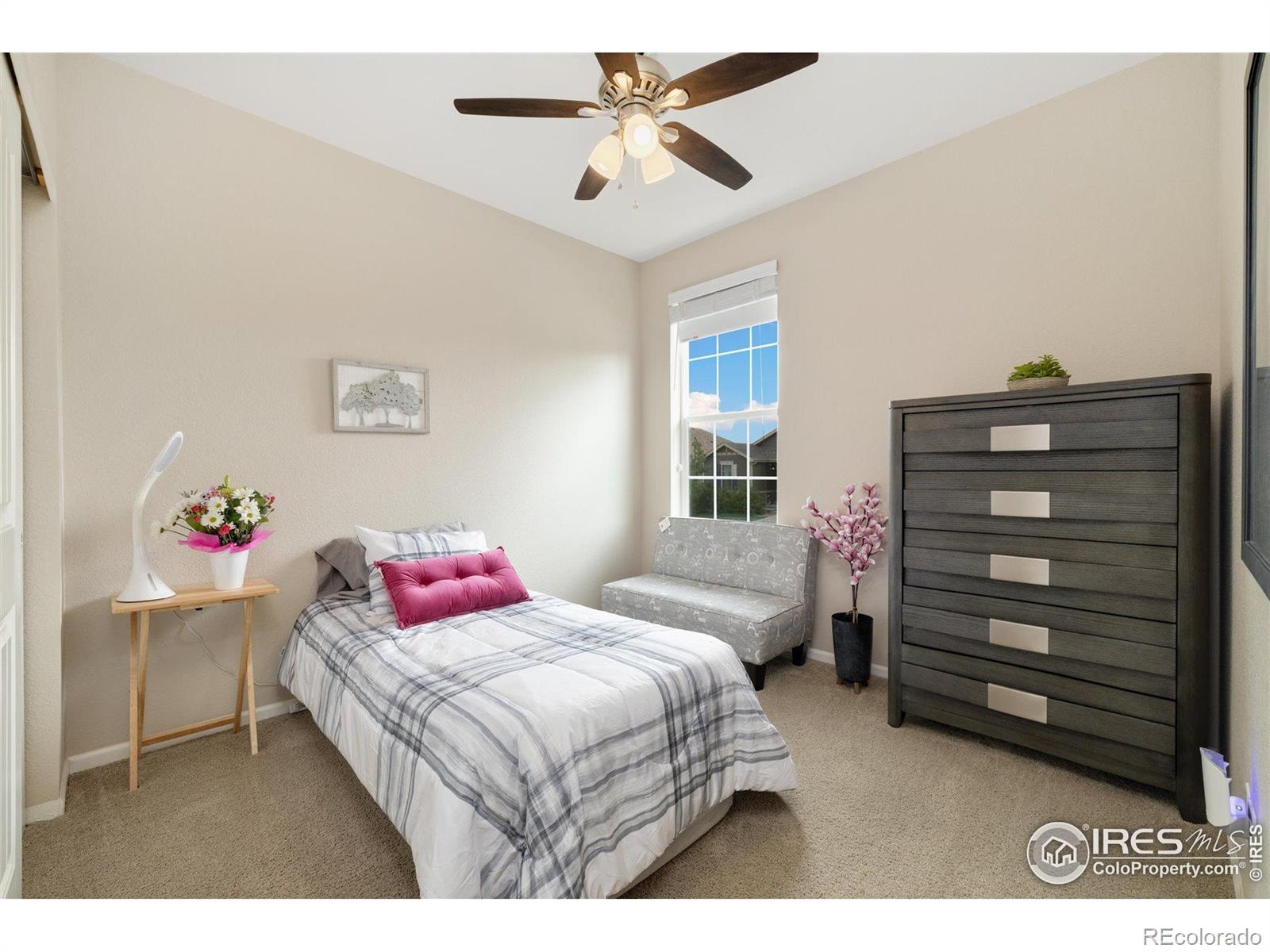 MLS Image #7 for 4822  wildflower place,dacono, Colorado