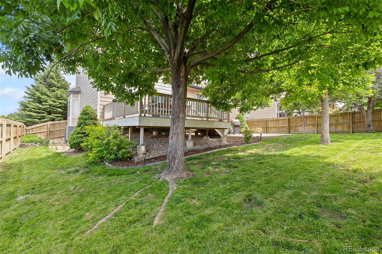 MLS Image #36 for 13753  monroe street,thornton, Colorado