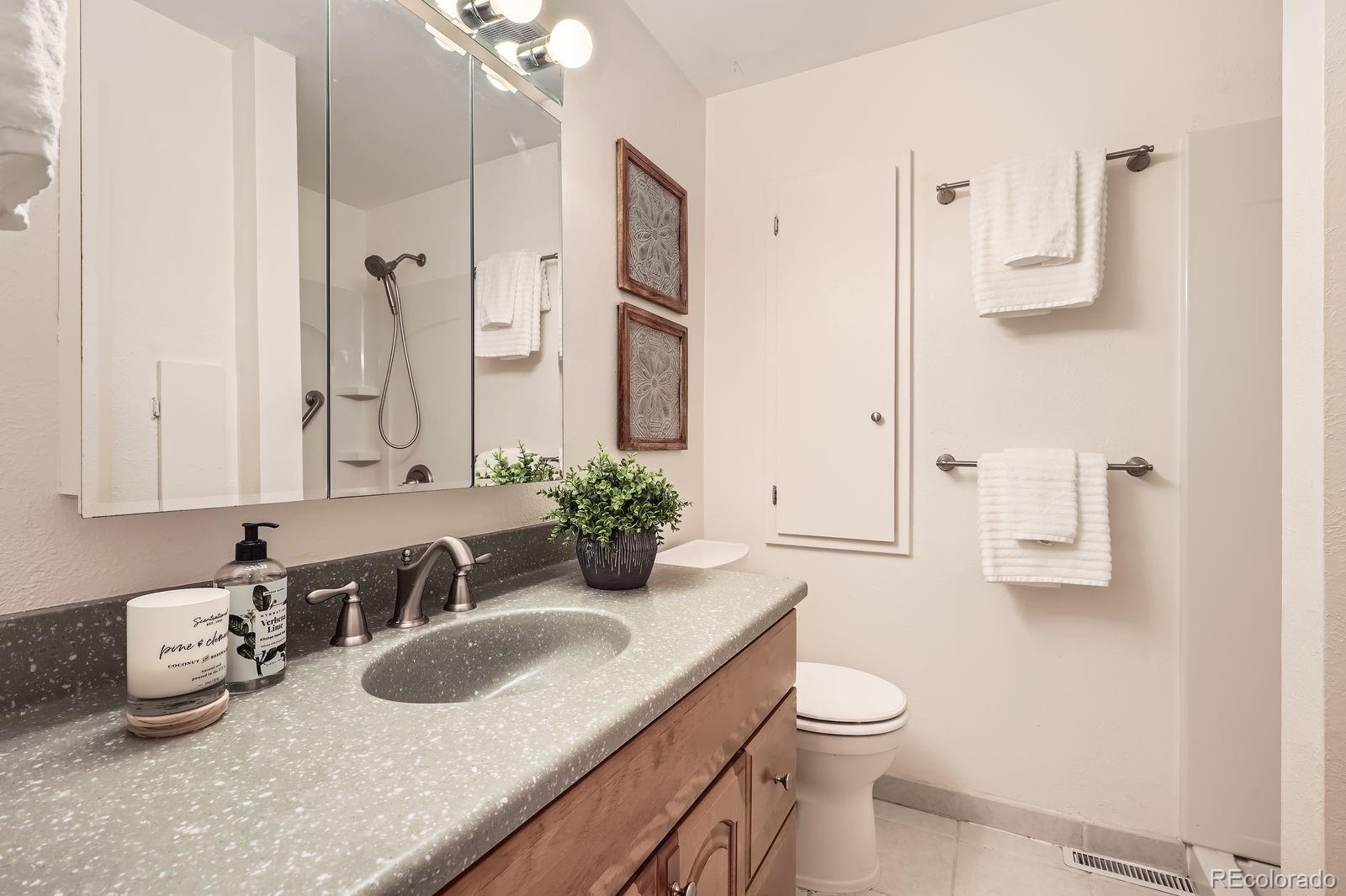 MLS Image #19 for 1048 n columbine street,golden, Colorado