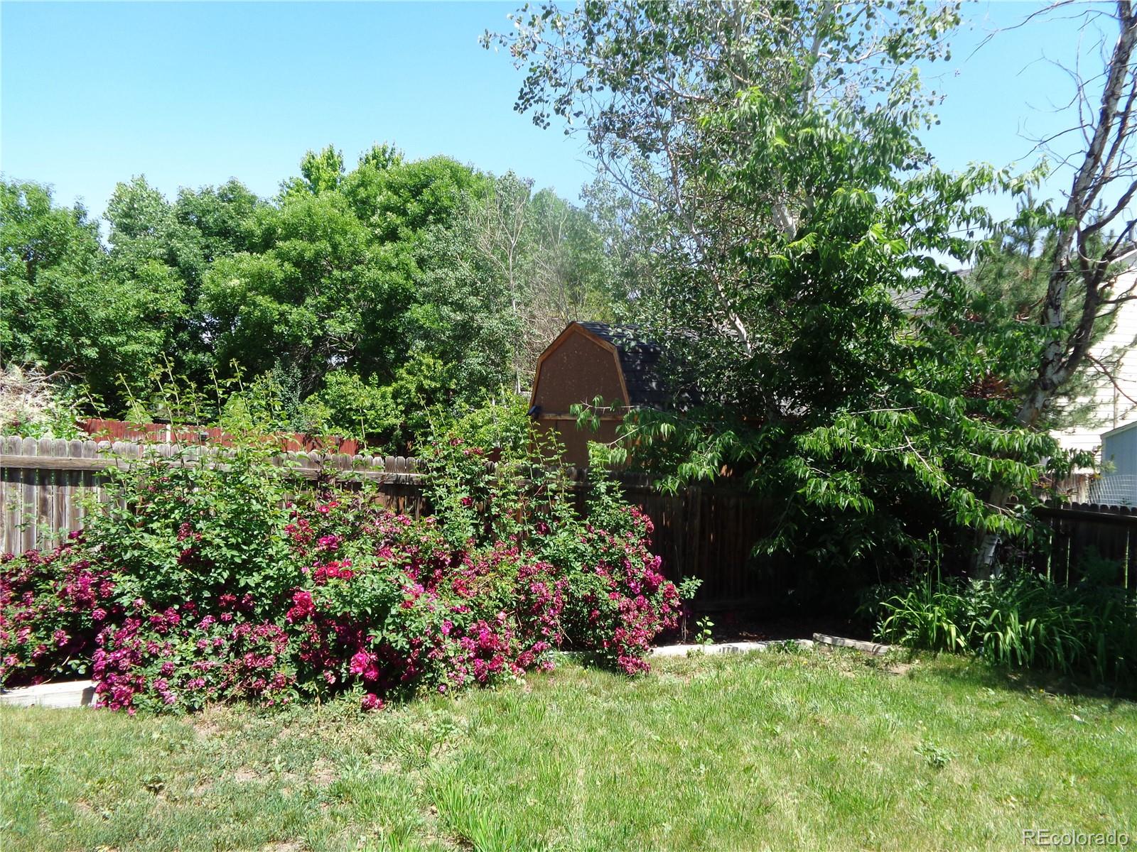 MLS Image #5 for 11828  columbine street,thornton, Colorado