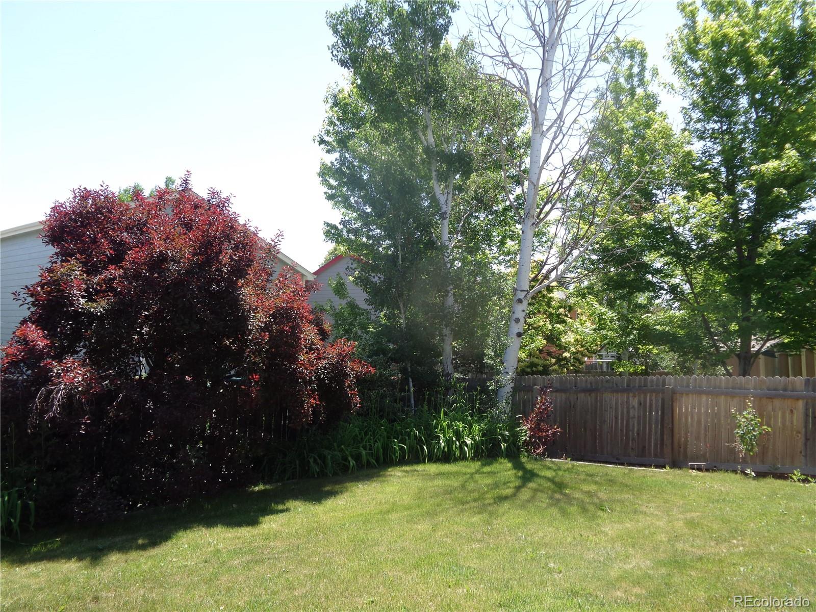 MLS Image #6 for 11828  columbine street,thornton, Colorado