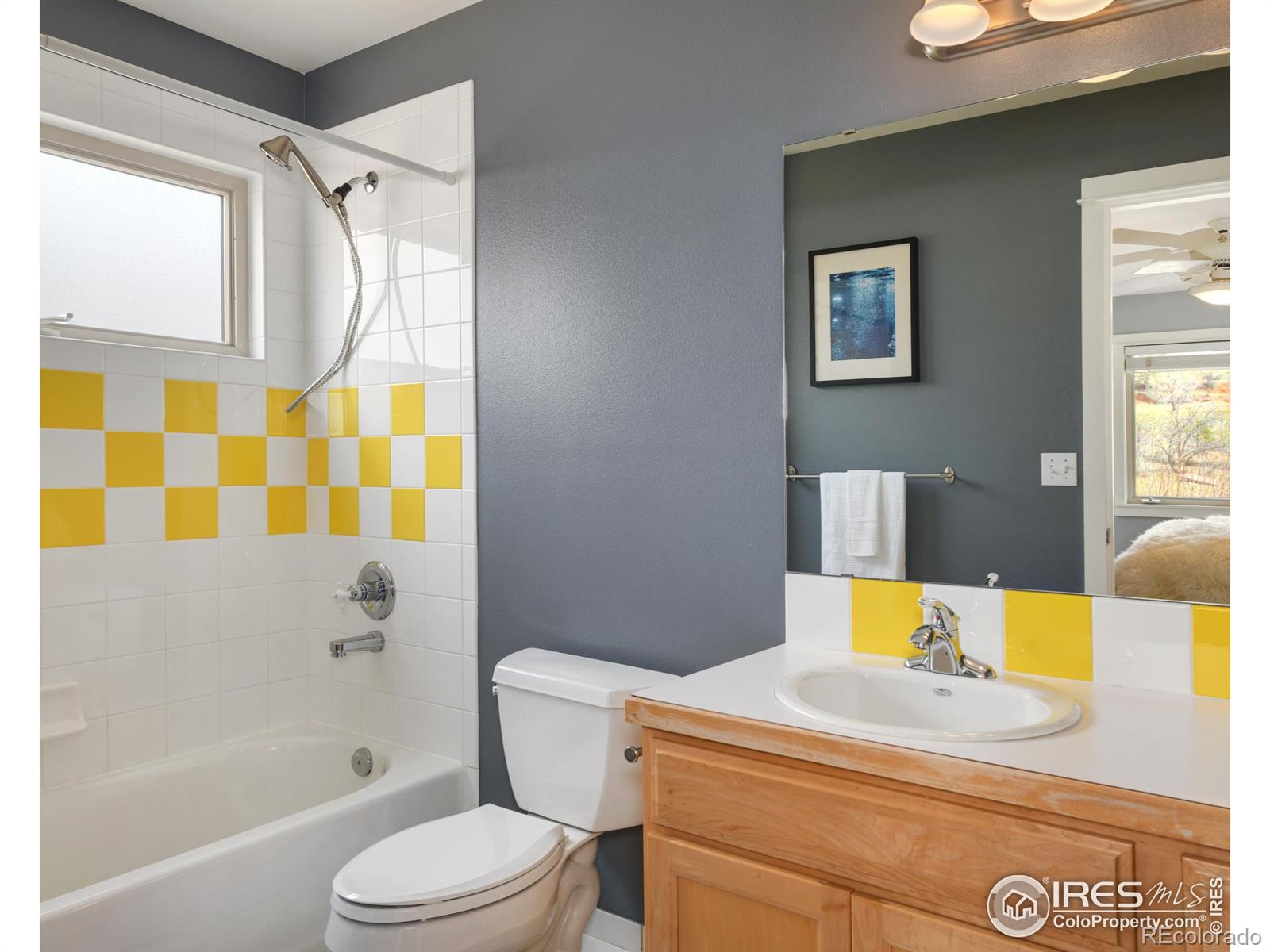 MLS Image #17 for 385  vasquez court,lyons, Colorado