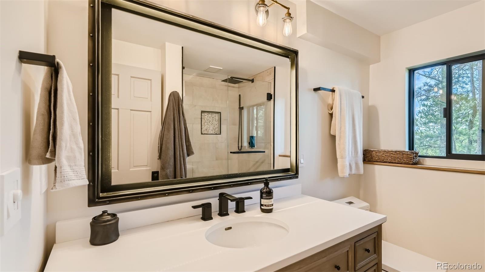 MLS Image #28 for 2231  meadow green circle,franktown, Colorado