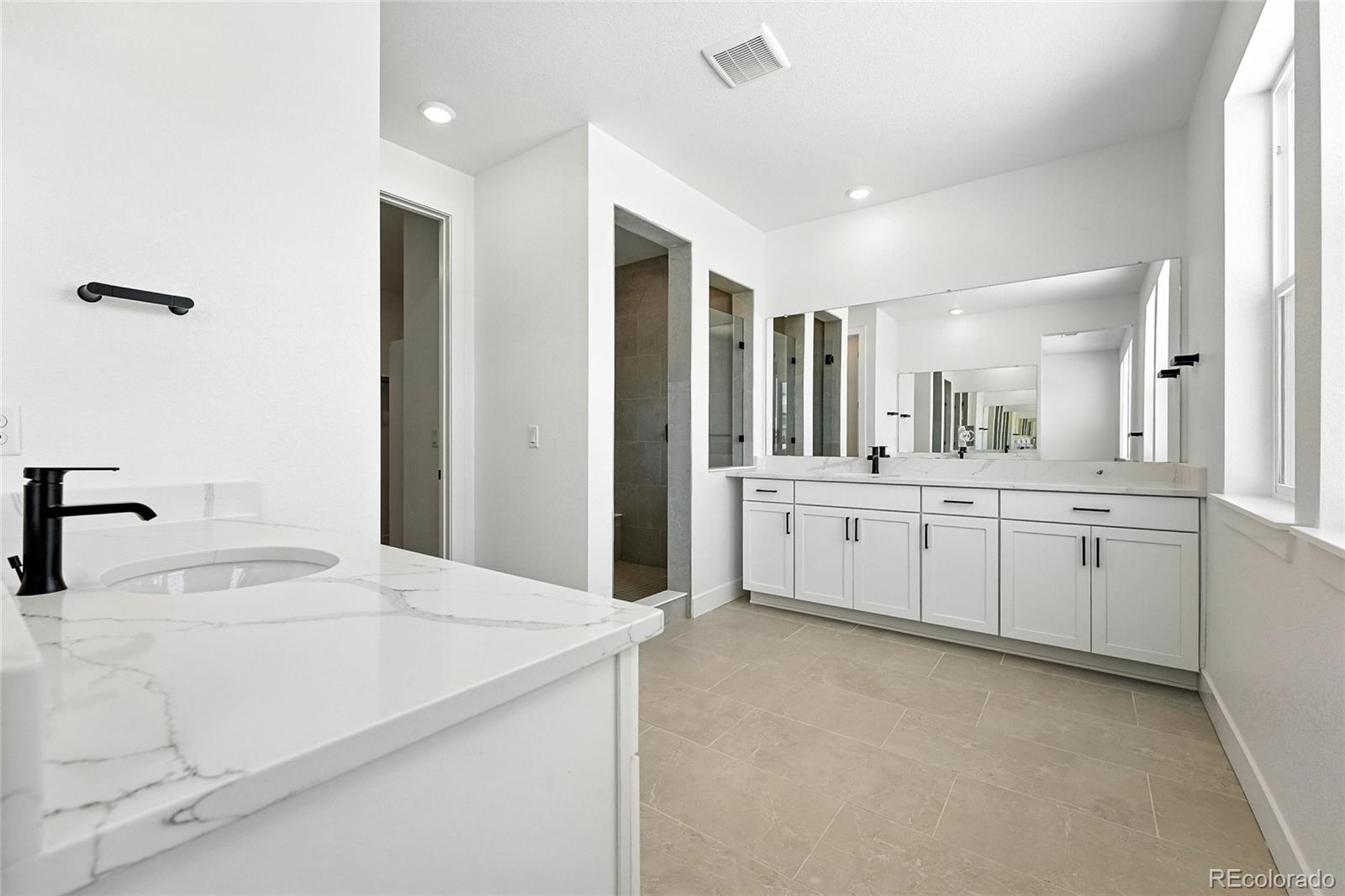 MLS Image #14 for 1733  fox trotter point,castle rock, Colorado