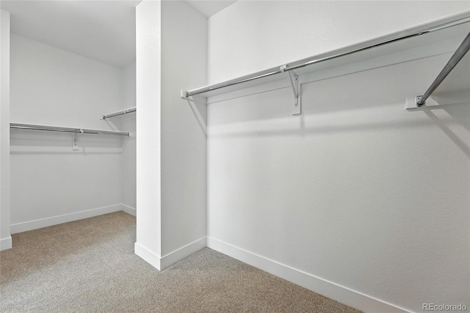 MLS Image #16 for 1733  fox trotter point,castle rock, Colorado