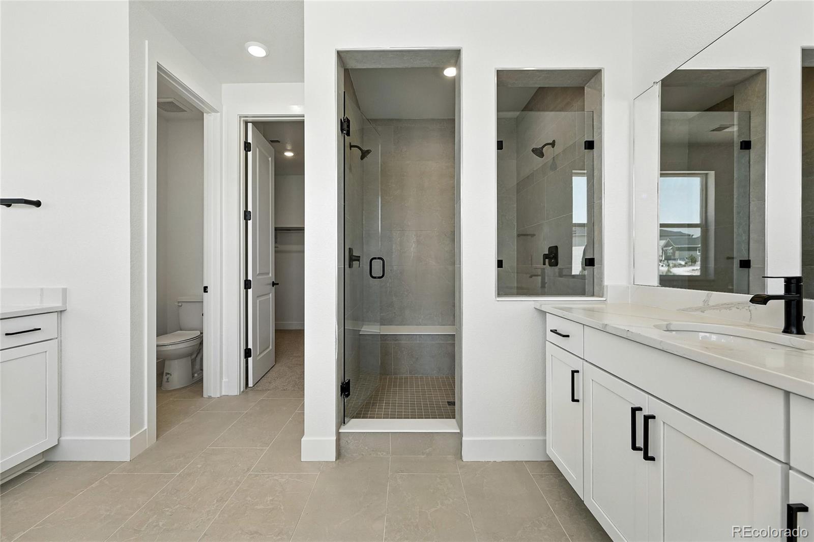 MLS Image #3 for 1733  fox trotter point,castle rock, Colorado