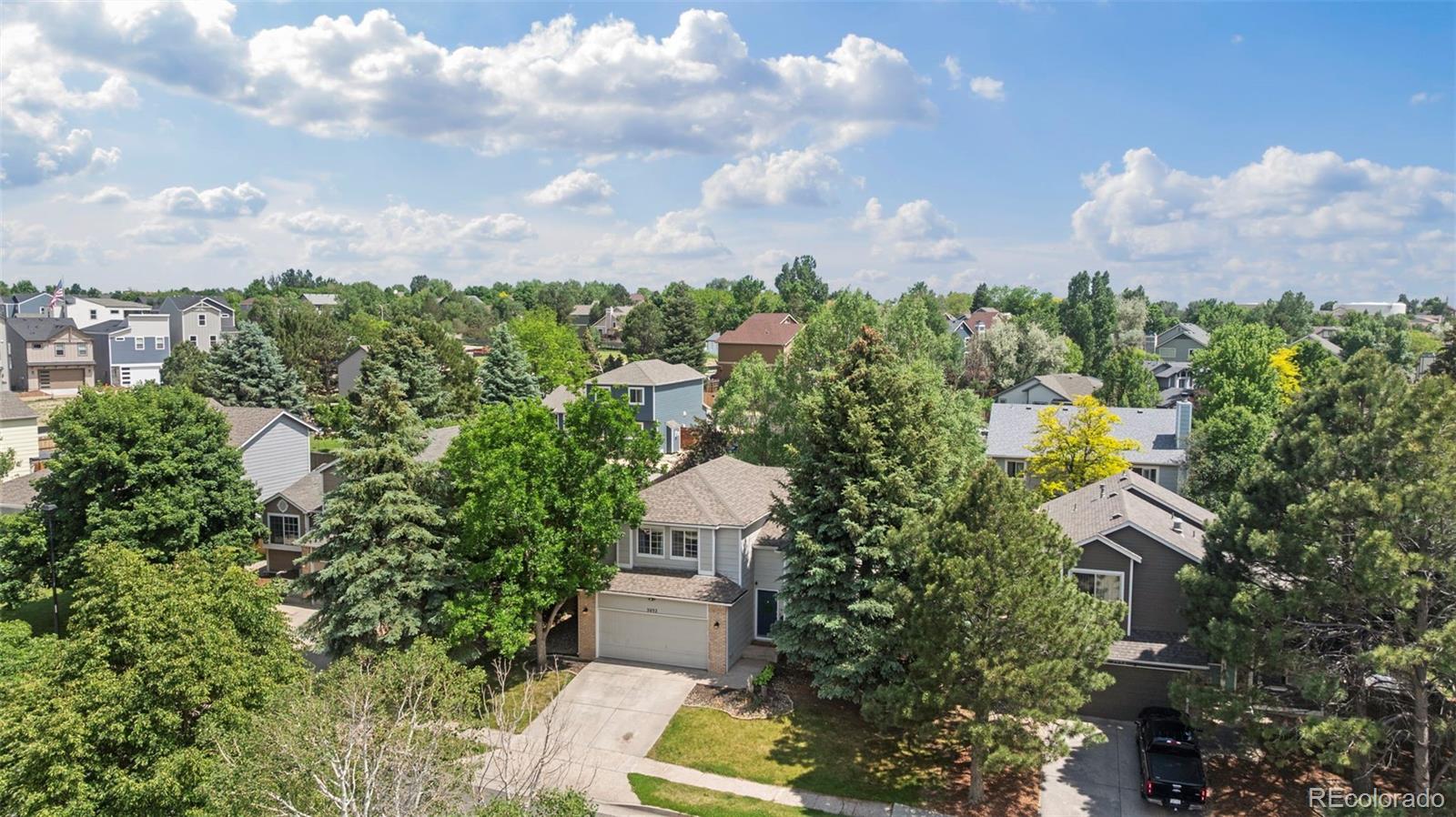 MLS Image #2 for 3032  pony tracks drive,colorado springs, Colorado