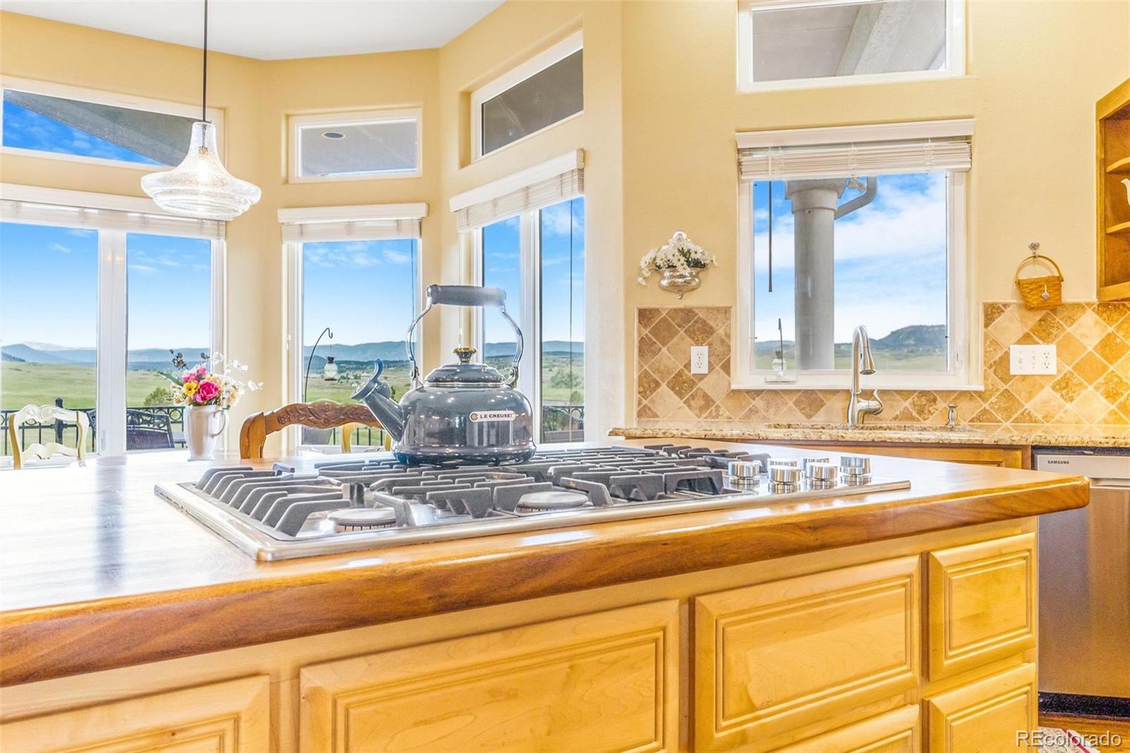 MLS Image #19 for 3221  autumn sun circle,castle rock, Colorado