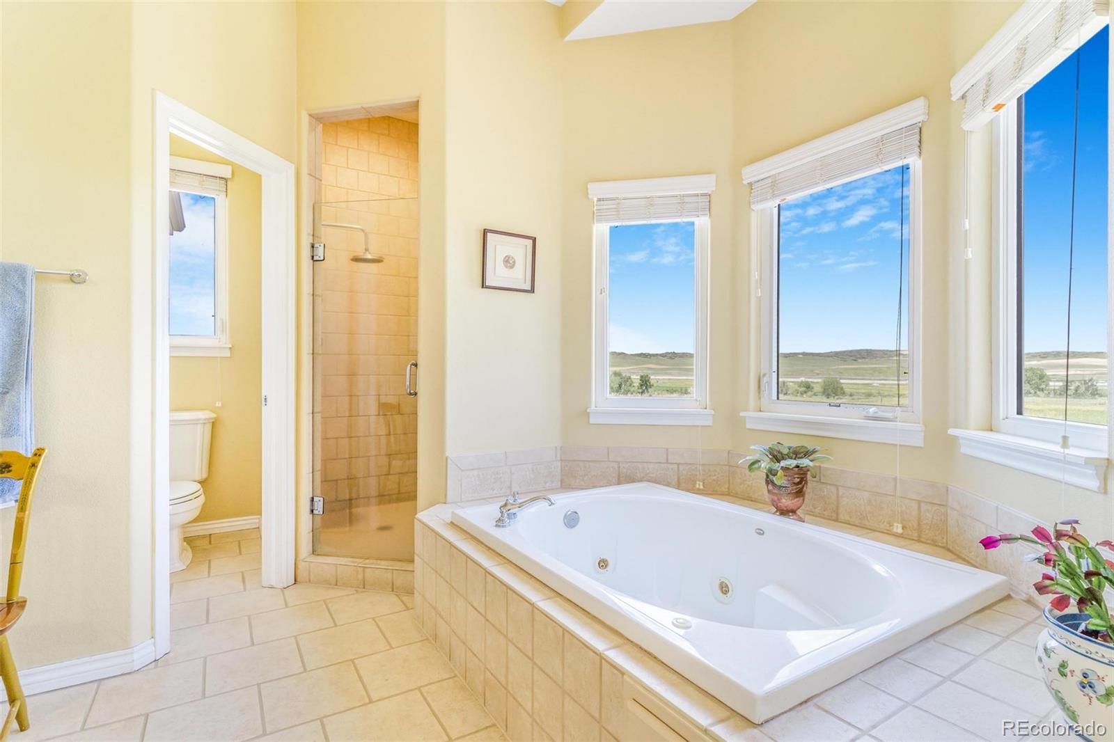 MLS Image #27 for 3221  autumn sun circle,castle rock, Colorado