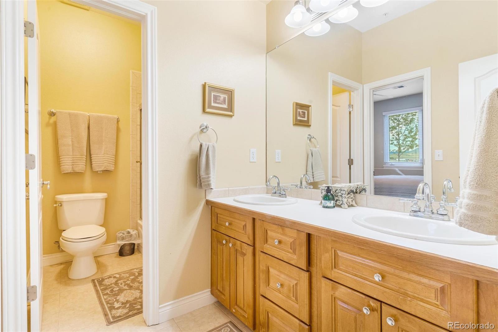 MLS Image #39 for 3221  autumn sun circle,castle rock, Colorado