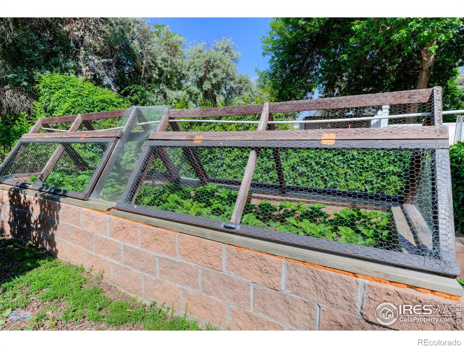 MLS Image #16 for 1813  pikes peak street,erie, Colorado