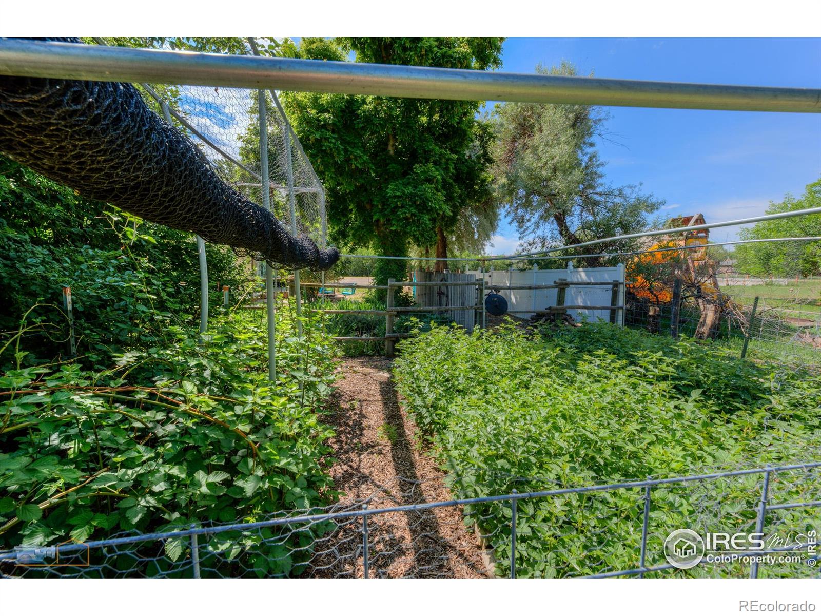 MLS Image #17 for 1813  pikes peak street,erie, Colorado