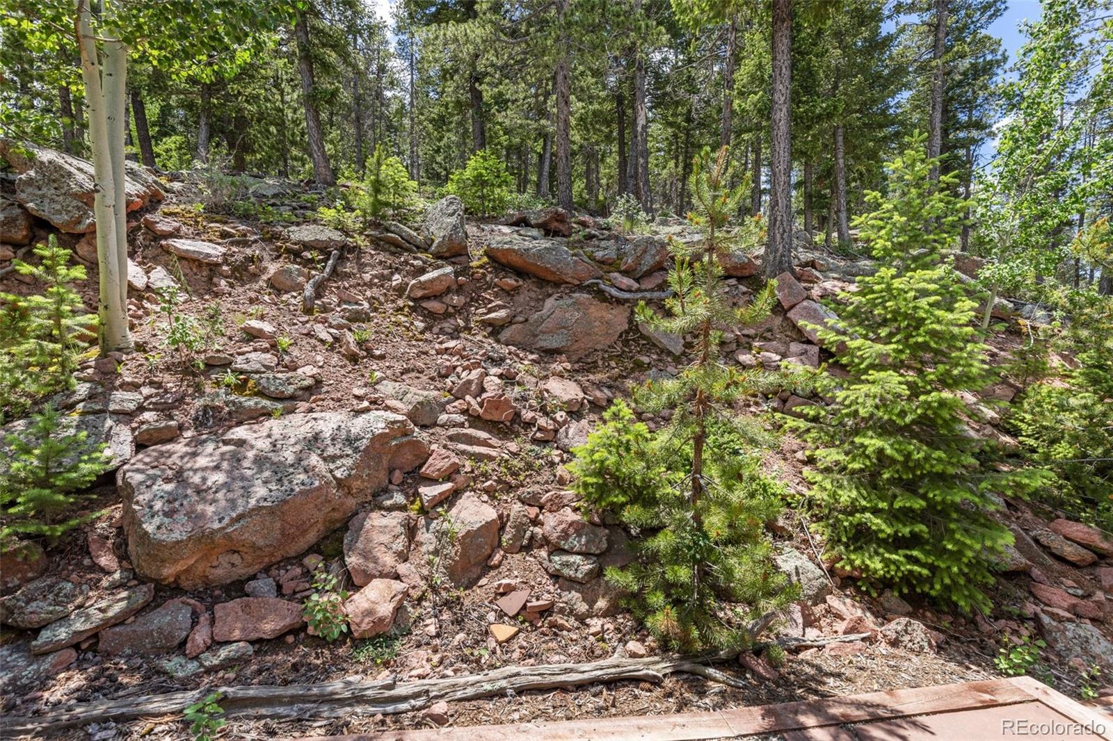 MLS Image #10 for 6882  snowshoe trail,evergreen, Colorado