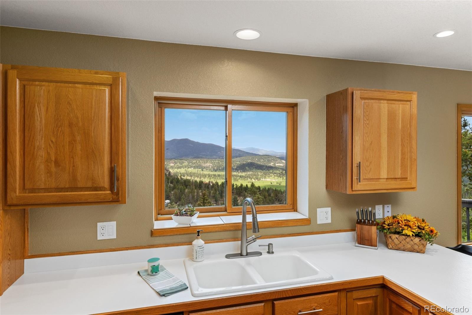 MLS Image #24 for 6882  snowshoe trail,evergreen, Colorado
