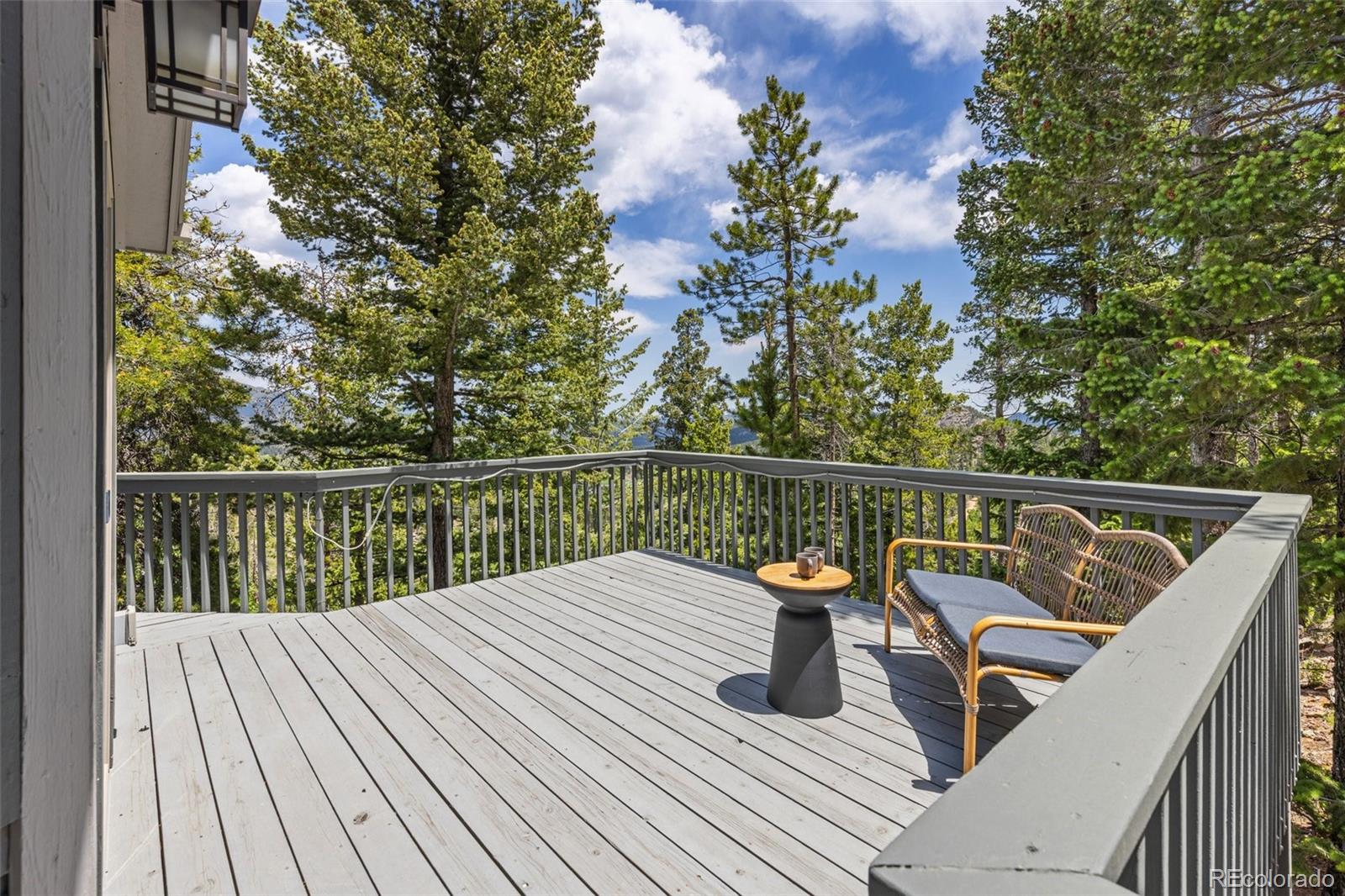 MLS Image #28 for 6882  snowshoe trail,evergreen, Colorado