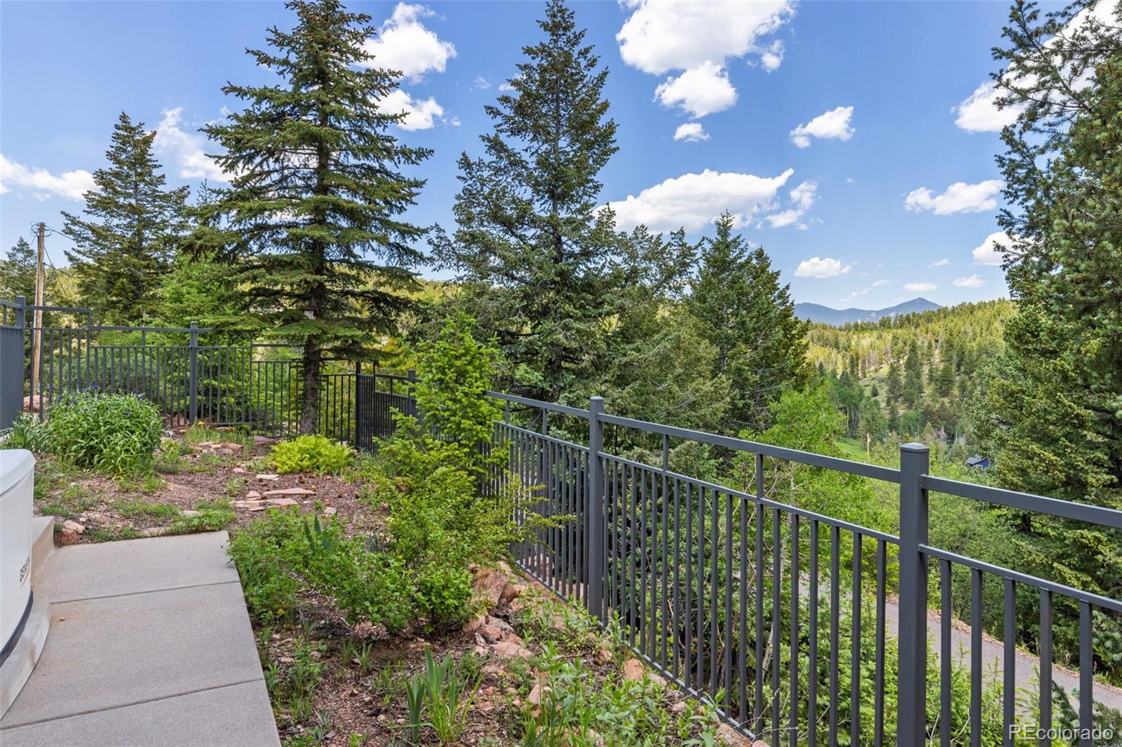 MLS Image #46 for 6882  snowshoe trail,evergreen, Colorado