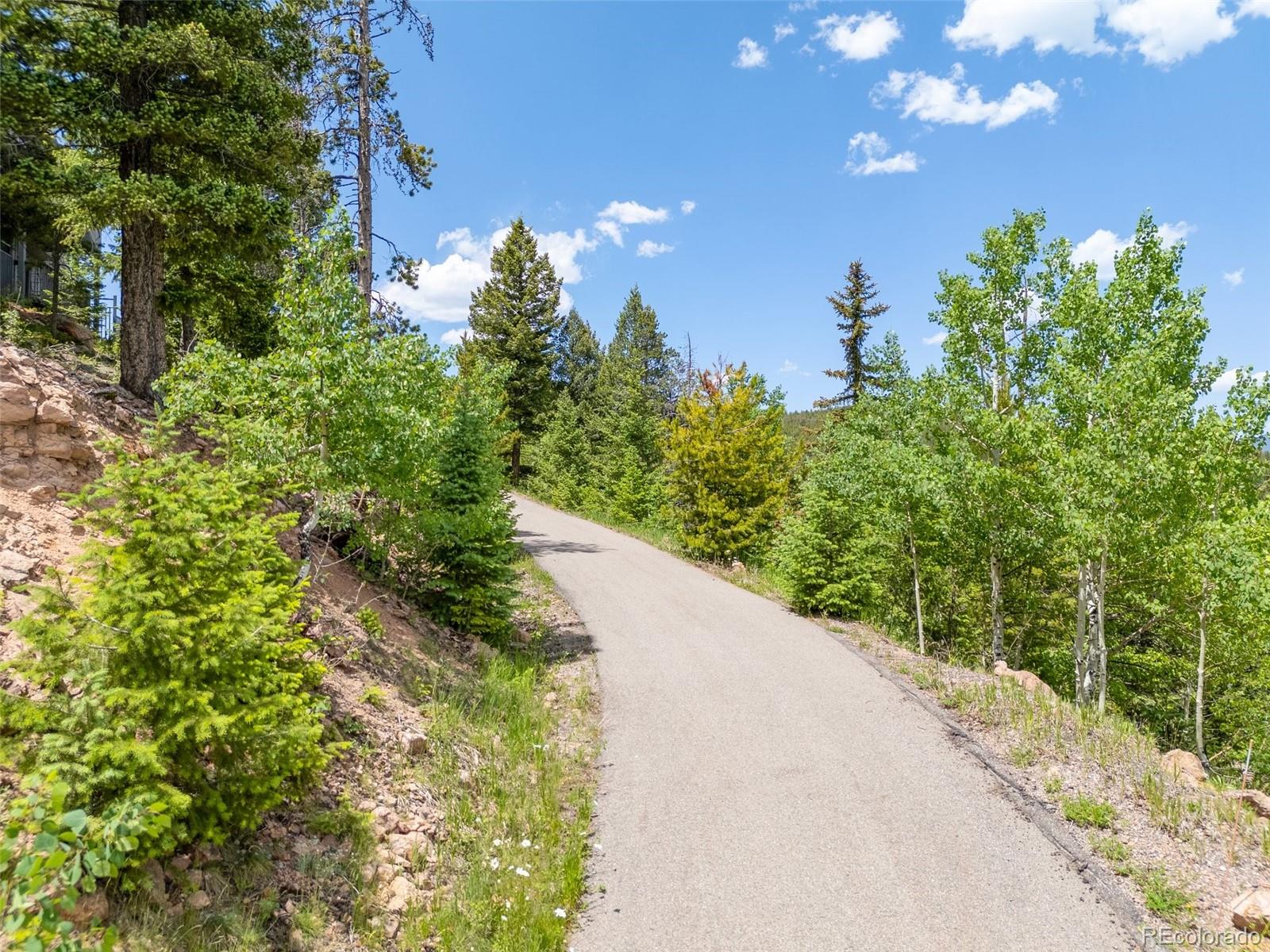 MLS Image #49 for 6882  snowshoe trail,evergreen, Colorado