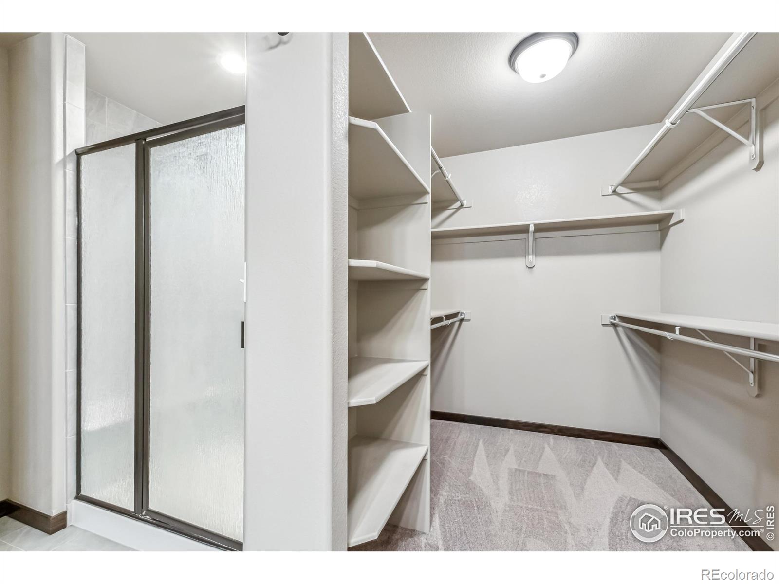 MLS Image #18 for 3454  buffalo grass lane,wellington, Colorado