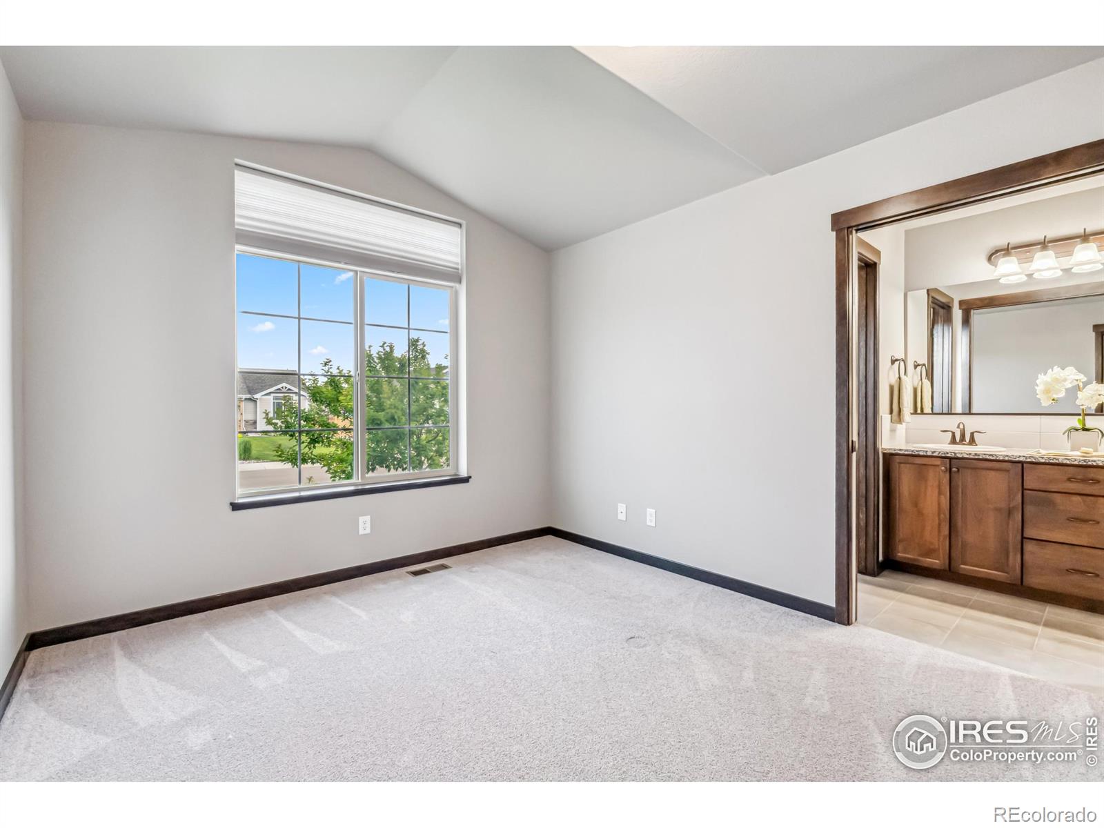 MLS Image #22 for 3454  buffalo grass lane,wellington, Colorado