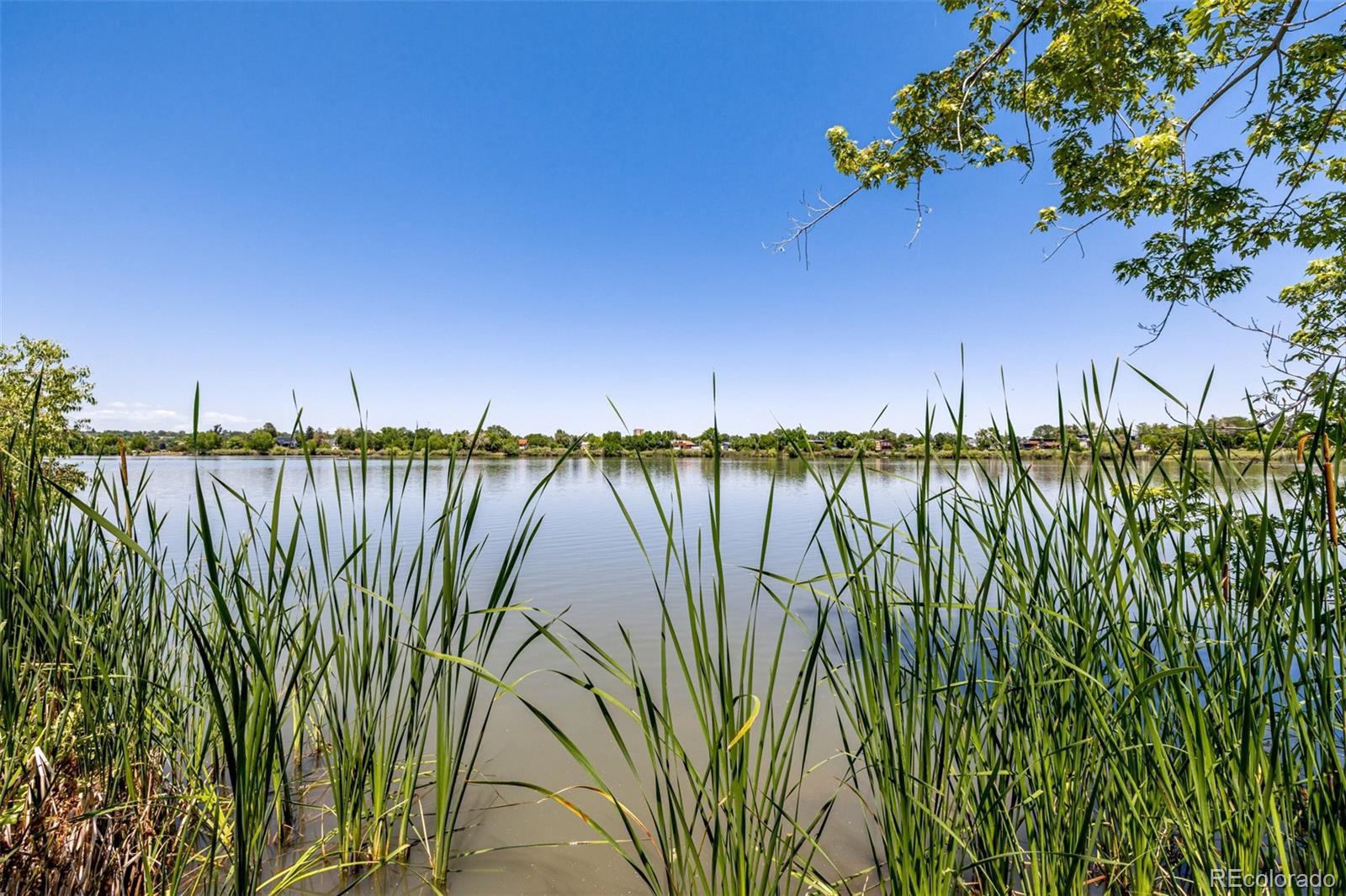 MLS Image #30 for 1495  vrain street,denver, Colorado