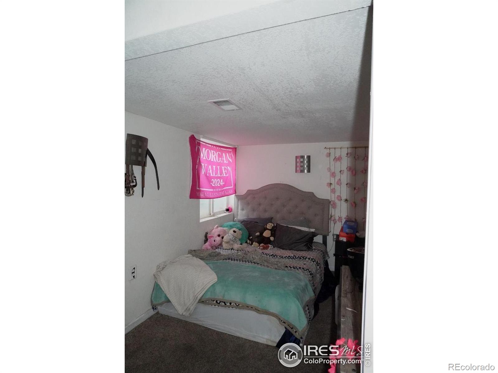 MLS Image #6 for 3212  birney court,evans, Colorado