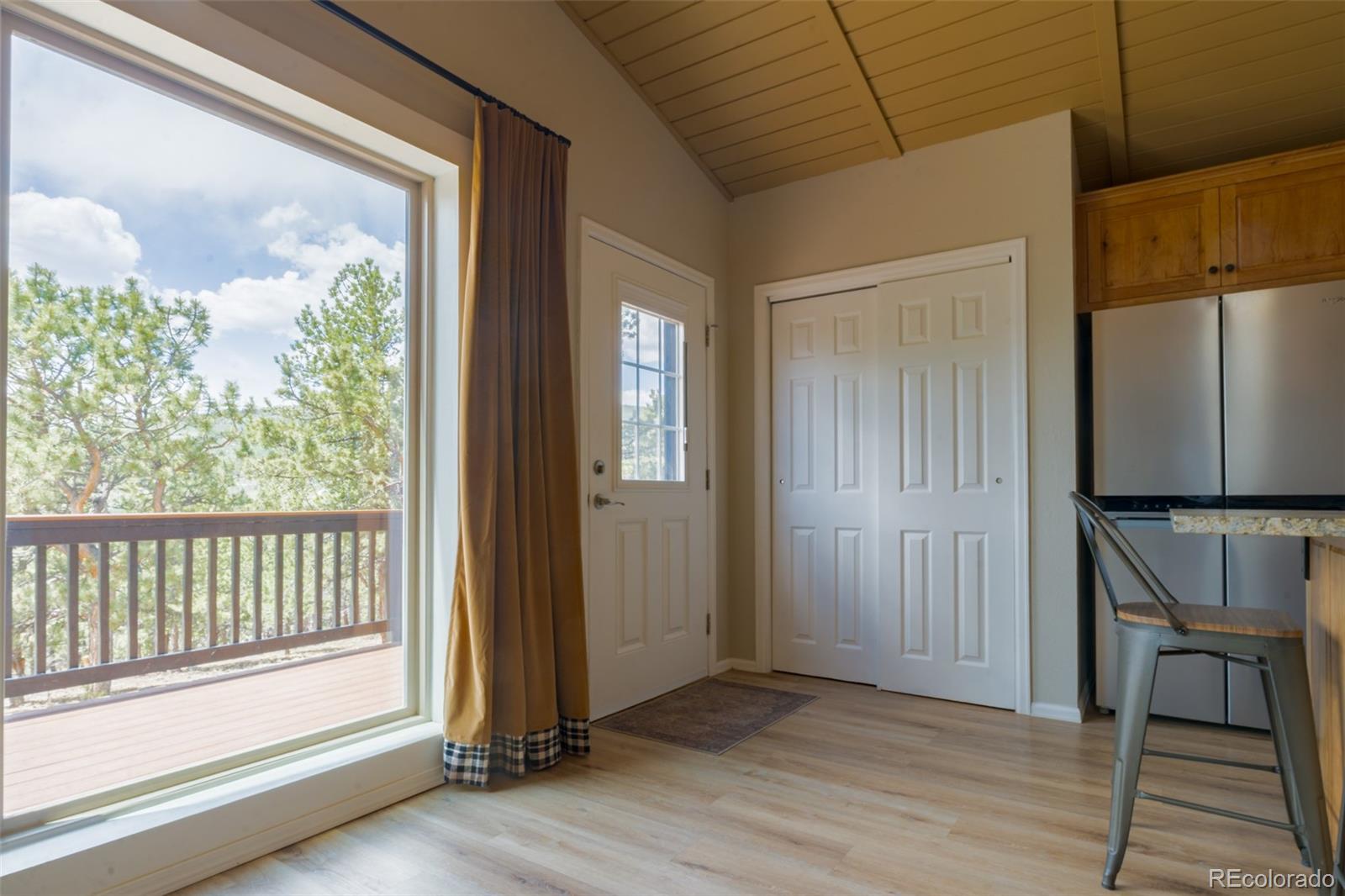 MLS Image #11 for 1040  sheep ridge road,fairplay, Colorado