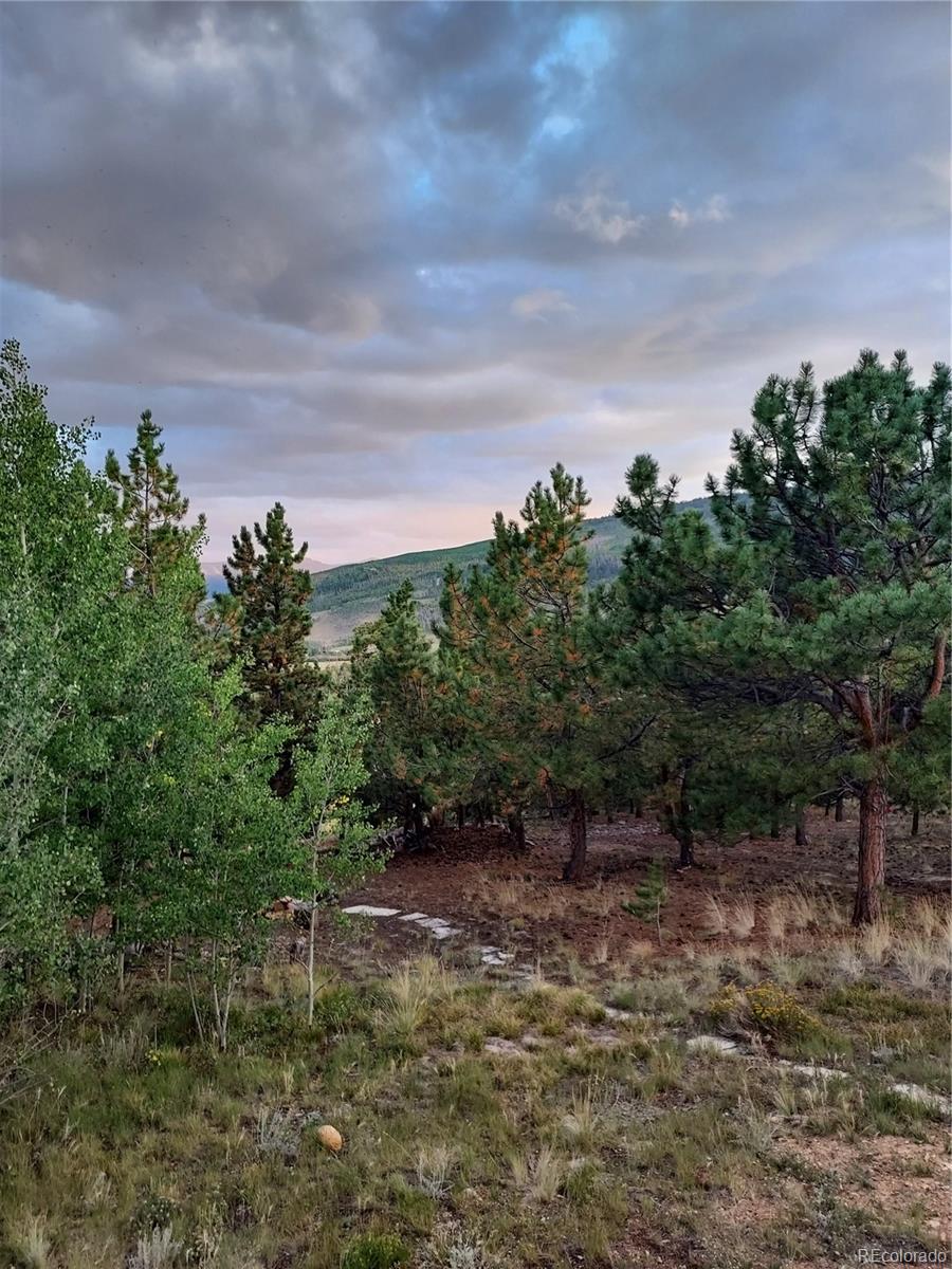 MLS Image #23 for 1040  sheep ridge road,fairplay, Colorado