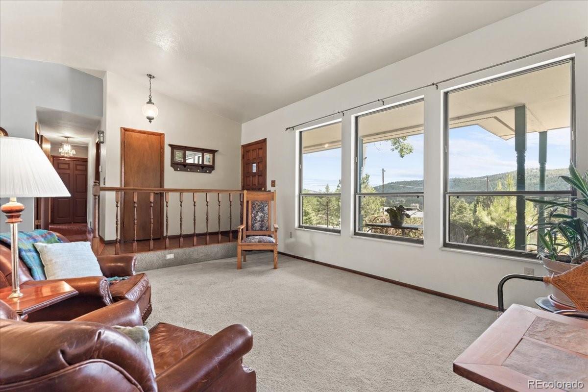 MLS Image #11 for 8427 s custer lane,evergreen, Colorado