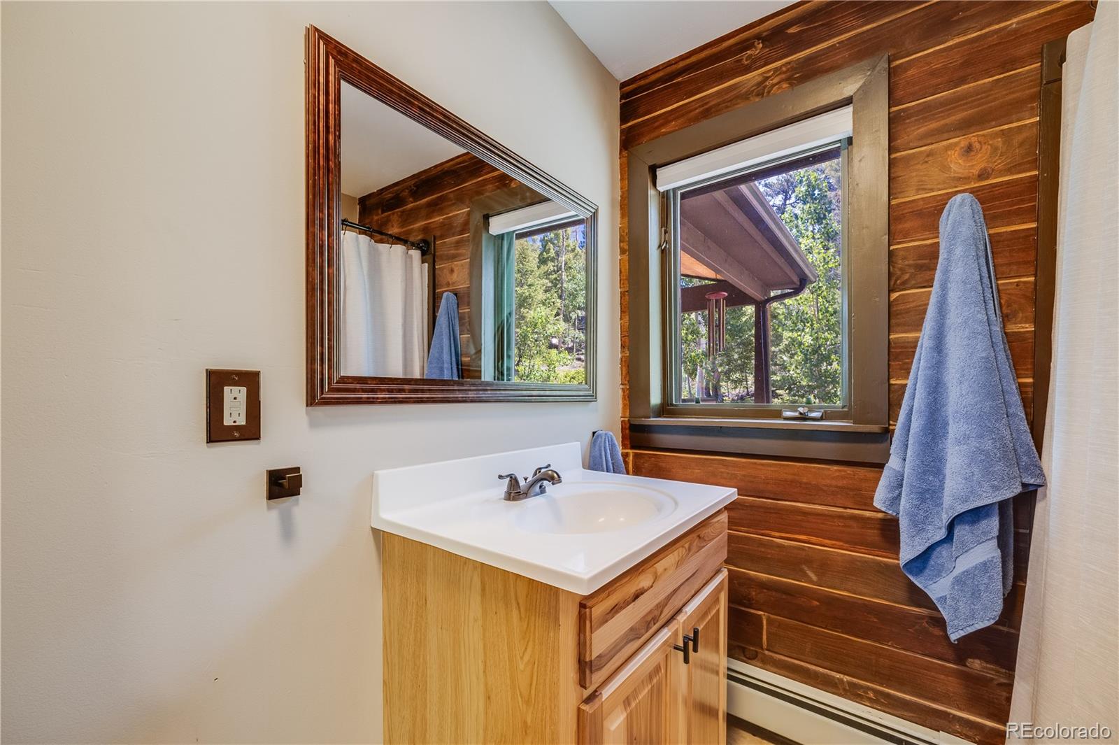 MLS Image #9 for 235  aspen lane,hartsel, Colorado