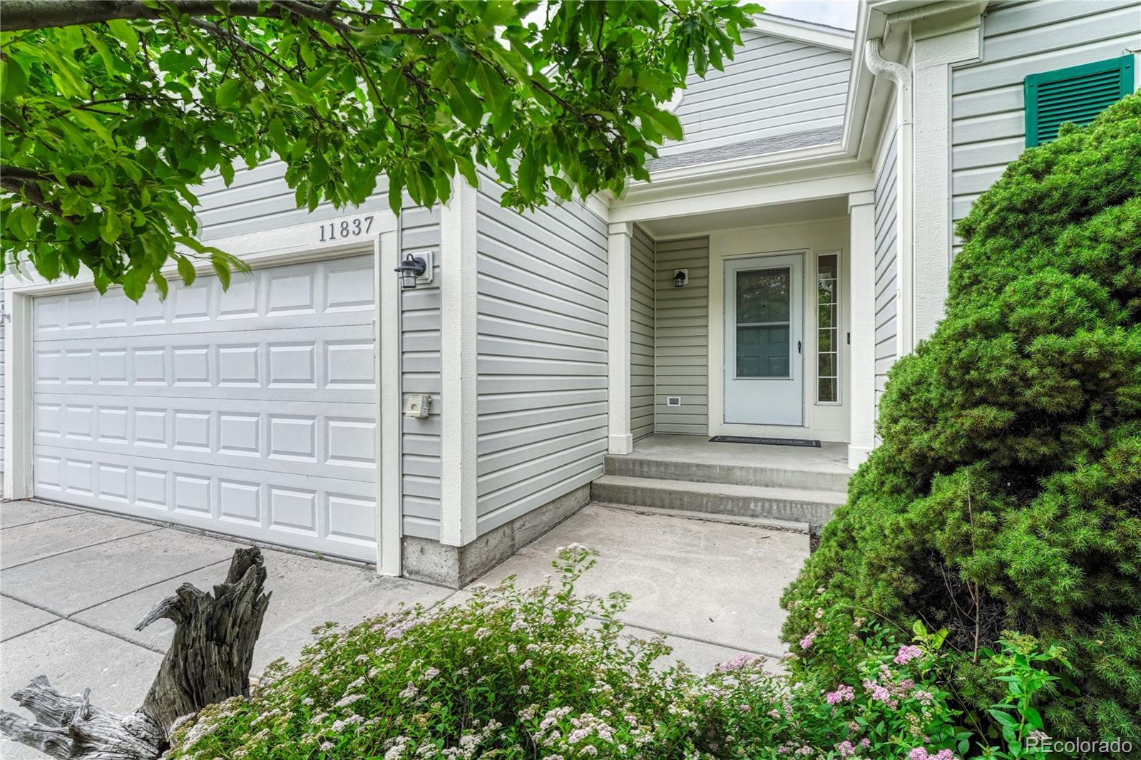 MLS Image #10 for 11837  meadowood lane,parker, Colorado