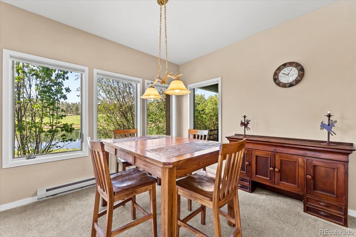 MLS Image #17 for 378  fox acres drive,red feather lakes, Colorado