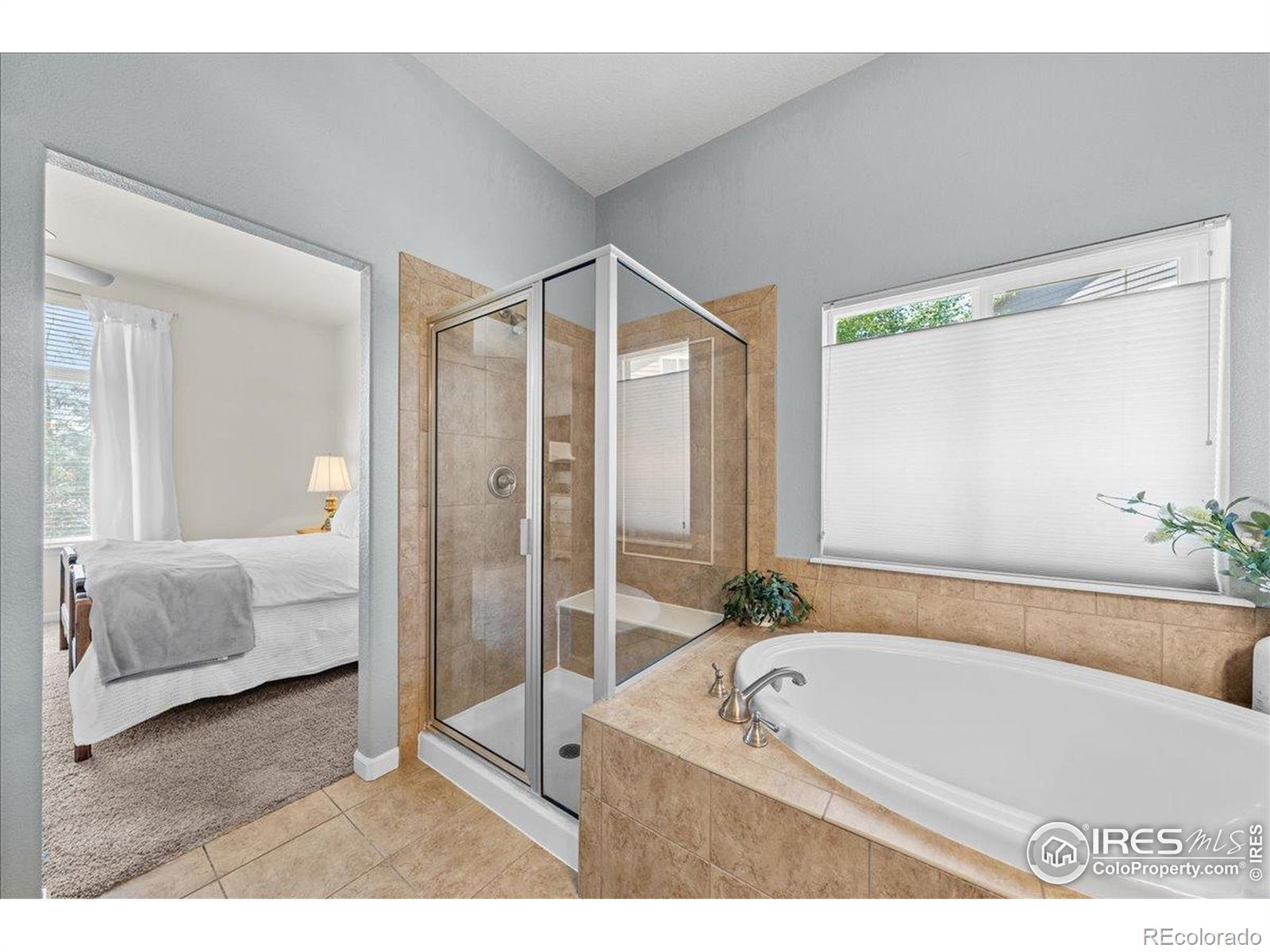 MLS Image #12 for 2707  pochard court,johnstown, Colorado