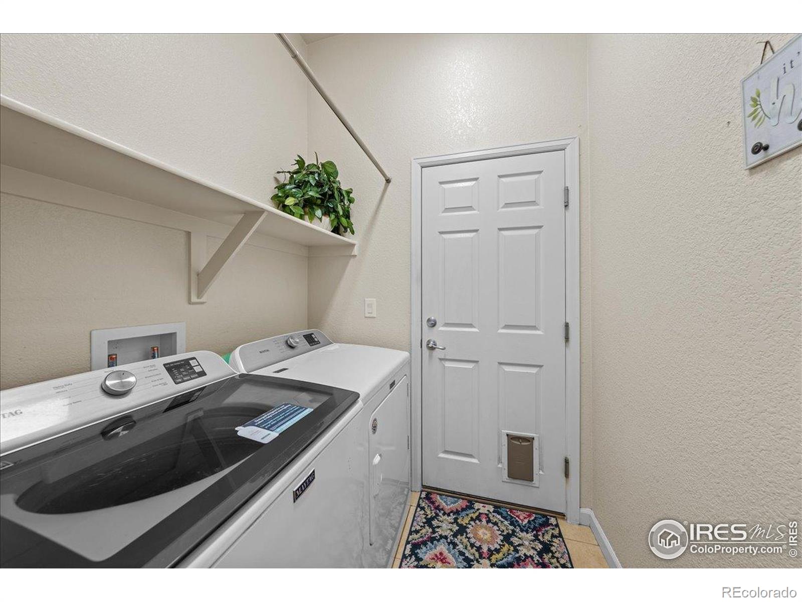 MLS Image #15 for 2707  pochard court,johnstown, Colorado