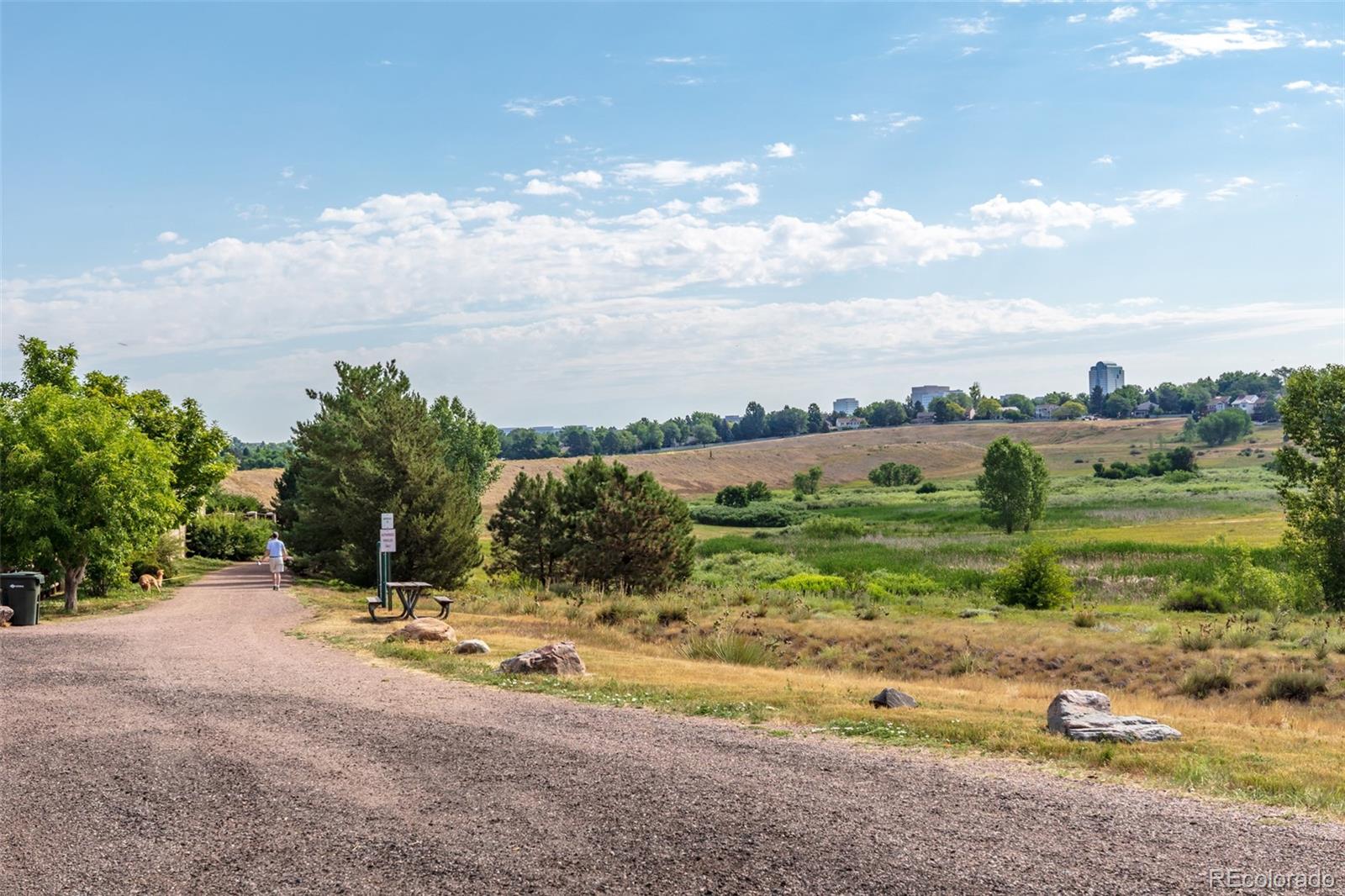 MLS Image #41 for 5319 e davies drive,centennial, Colorado