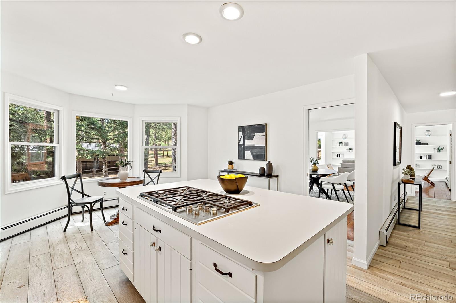 MLS Image #16 for 133  mine lane,boulder, Colorado