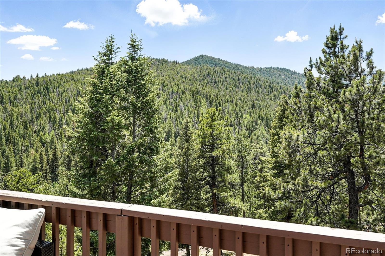 MLS Image #16 for 7221 s brook forest road,evergreen, Colorado