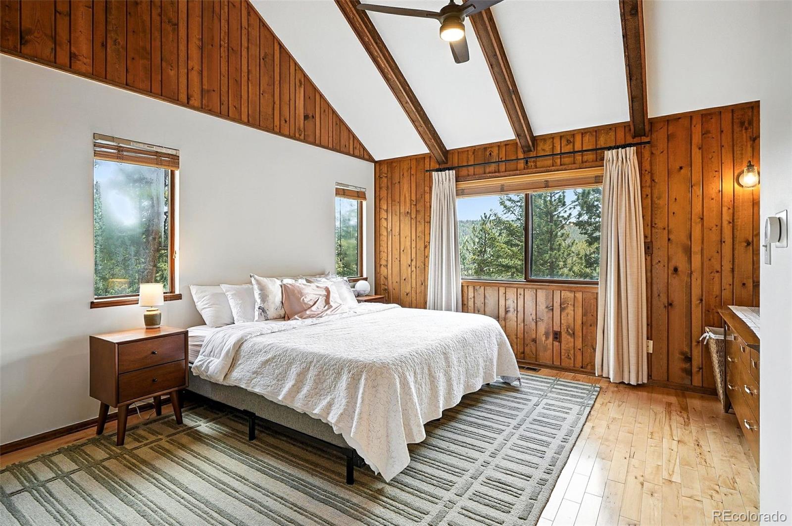 MLS Image #23 for 7221 s brook forest road,evergreen, Colorado