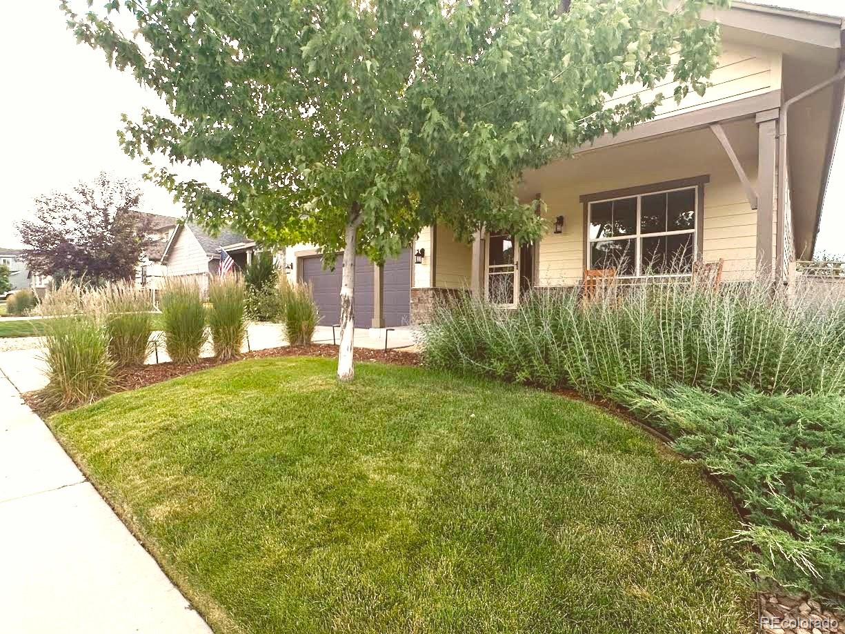 CMA Image for 4032  donnington circle,Castle Rock, Colorado