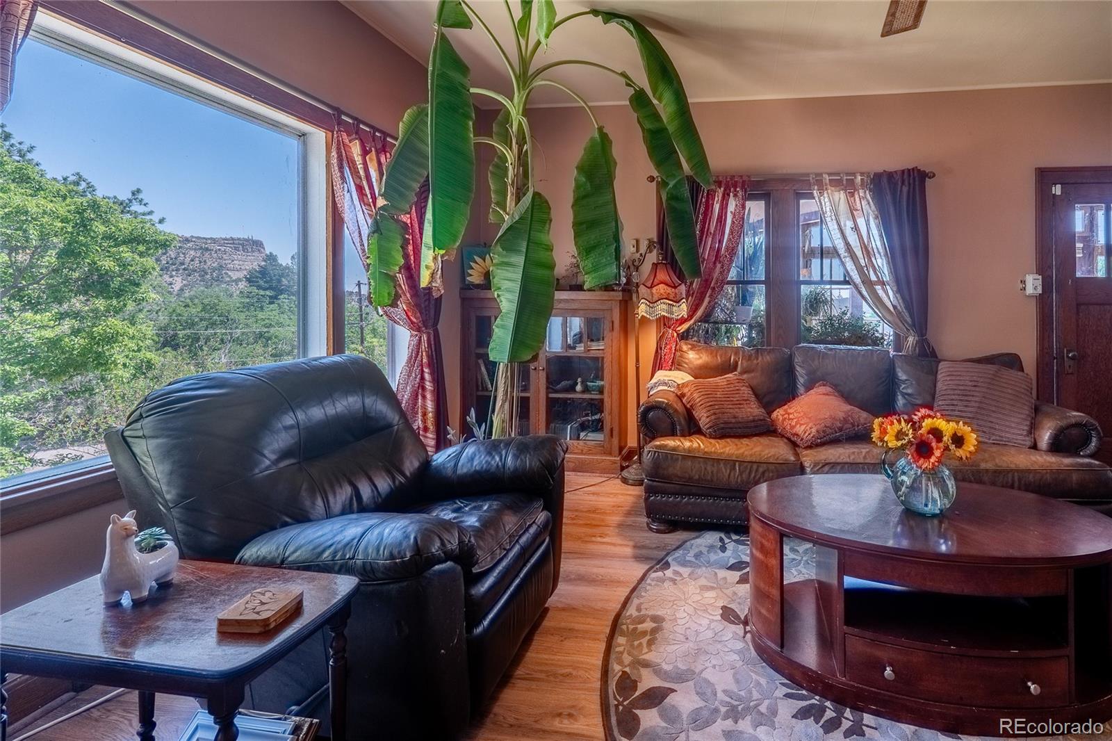 MLS Image #10 for 1133  alta street,trinidad, Colorado
