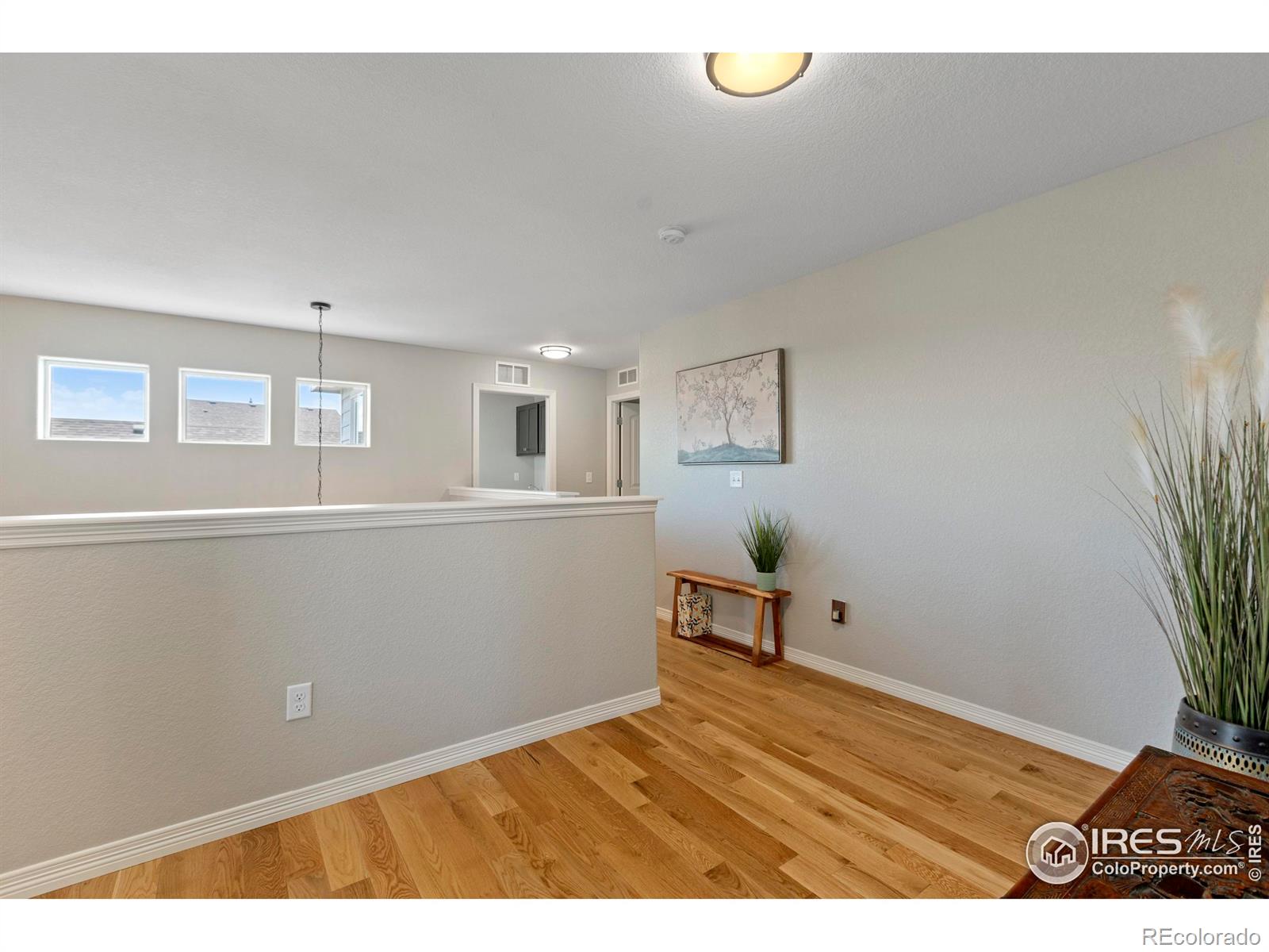 MLS Image #20 for 6042  carmon drive,windsor, Colorado